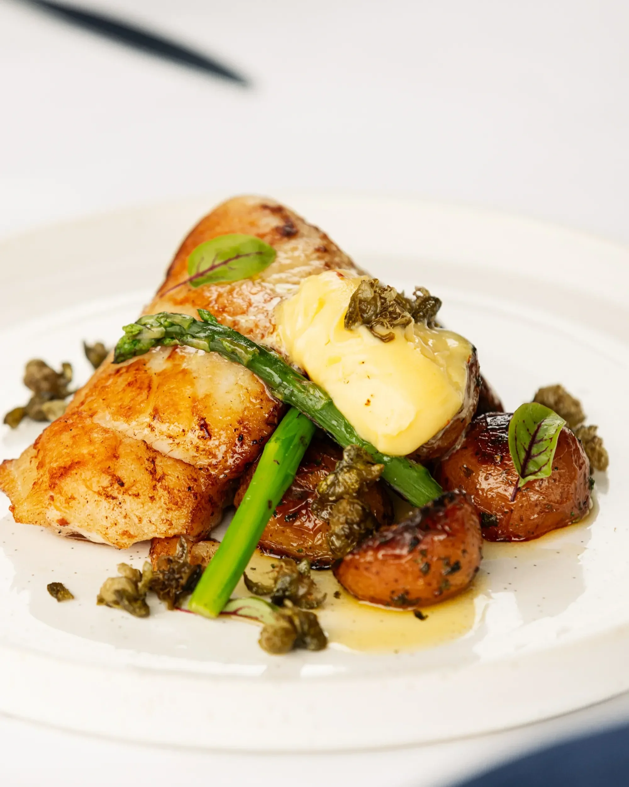 Piato+Mediterranean+Restaurant+CairnsA9134.webp