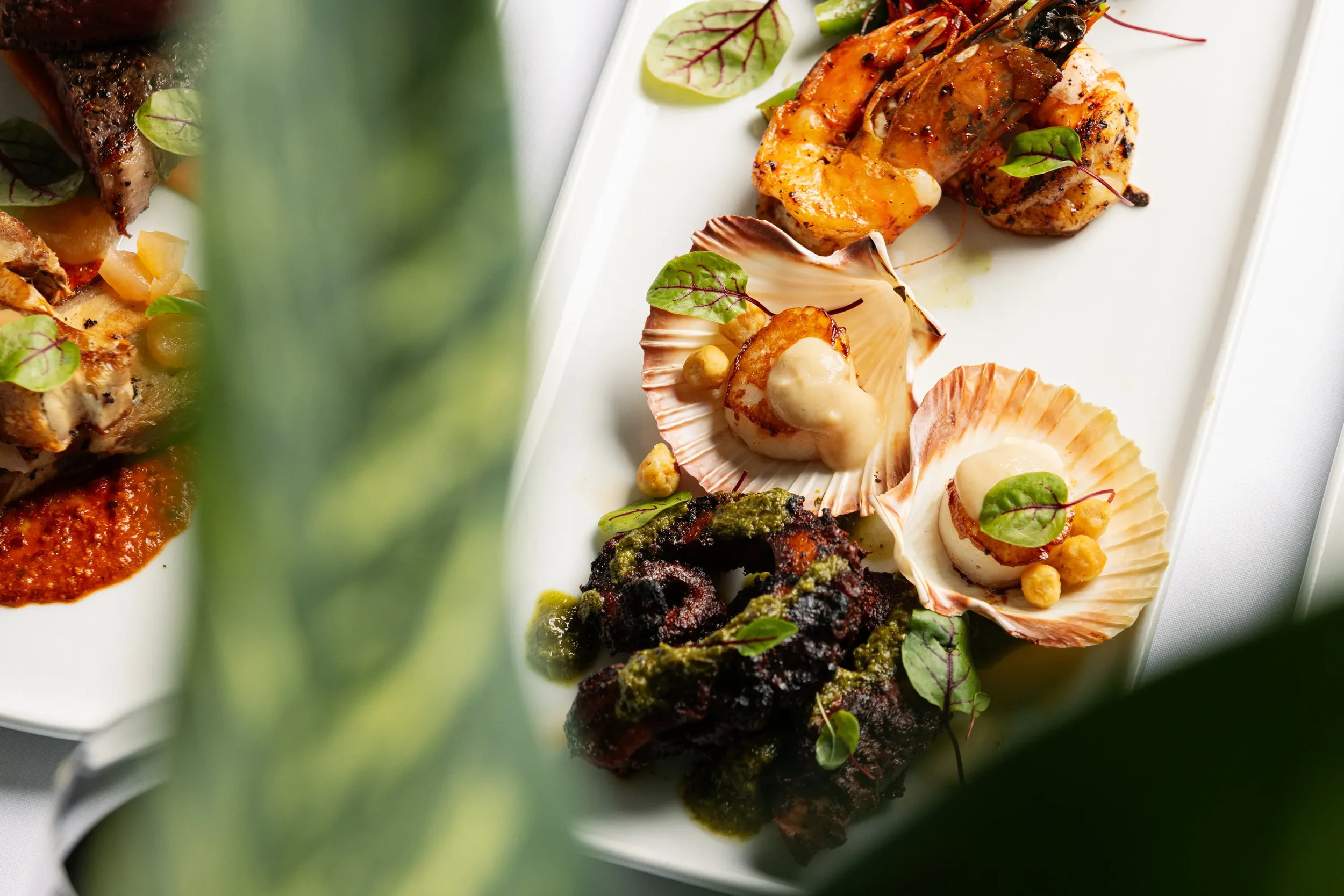Piato Mediterranean Restaurant CairnsA9430.webp