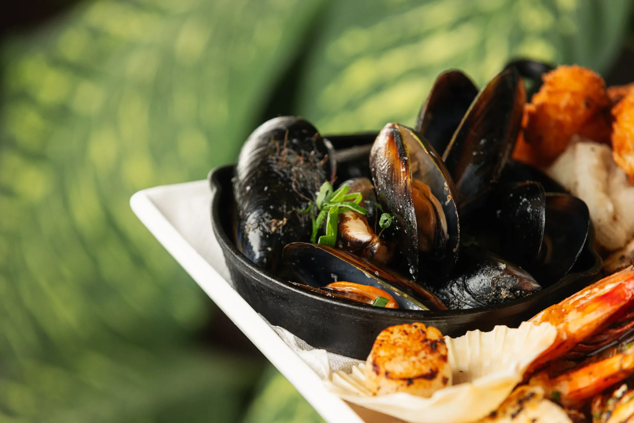 Best Seafood Restaurant for Lunch & Dinner in Cairns