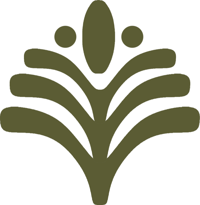 Illustration of a stylized olive branch with leaves and olives