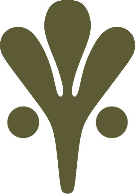 Stylized olive branch with five leaves and two olives.