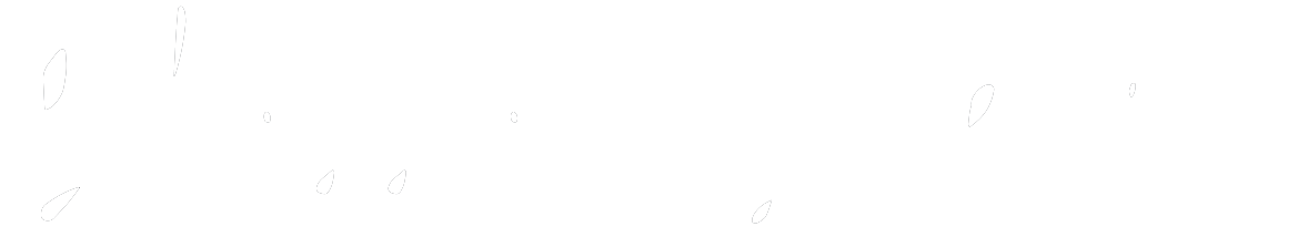 Your Site Title