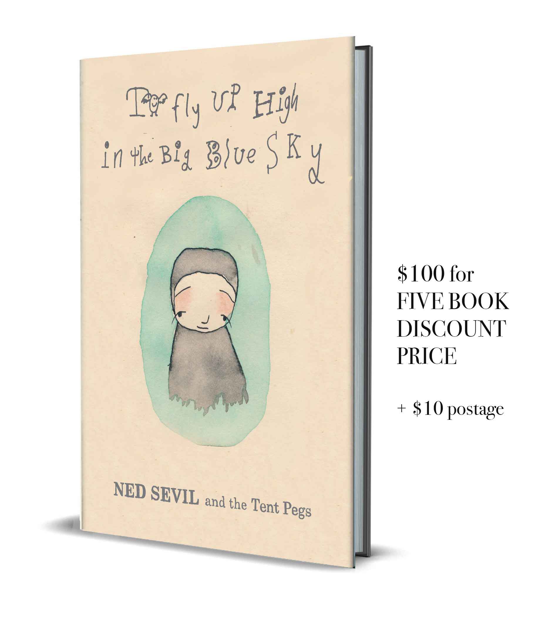 To Fly Up High in the Big Blue Sky (5 BOOKS)