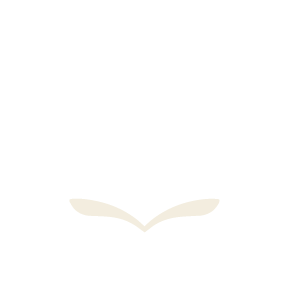 Geometric drawing of an outline square with sections divided by vertical, horizontal, and diagonal lines.
