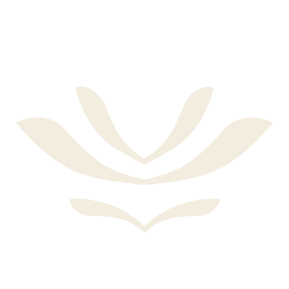 Geometric drawing of an outline square with sections divided by vertical, horizontal, and circle lines.