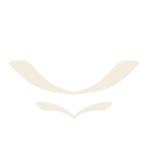 Geometric drawing of an outline square with sections divided by vertical, horizontal, and half circle lines.