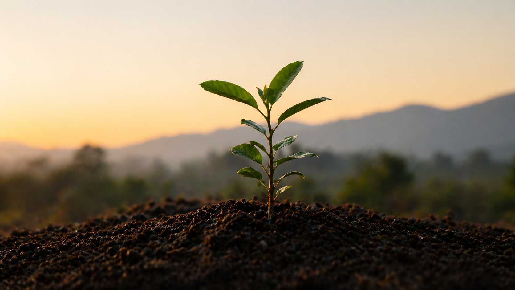 >Building and Growing People