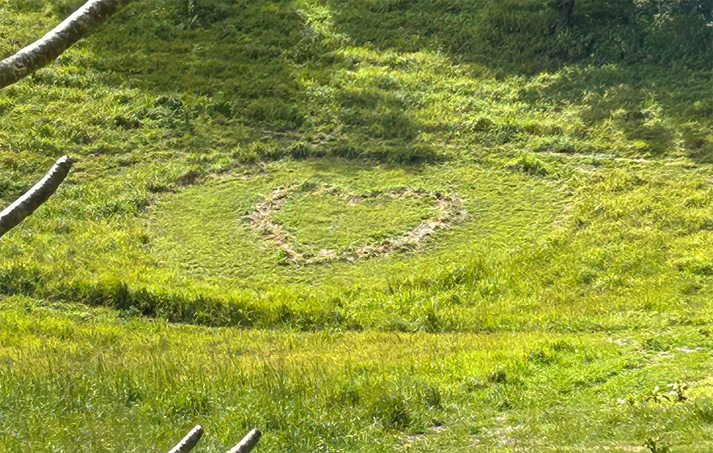 Pollinator Heart Garden Planting Day