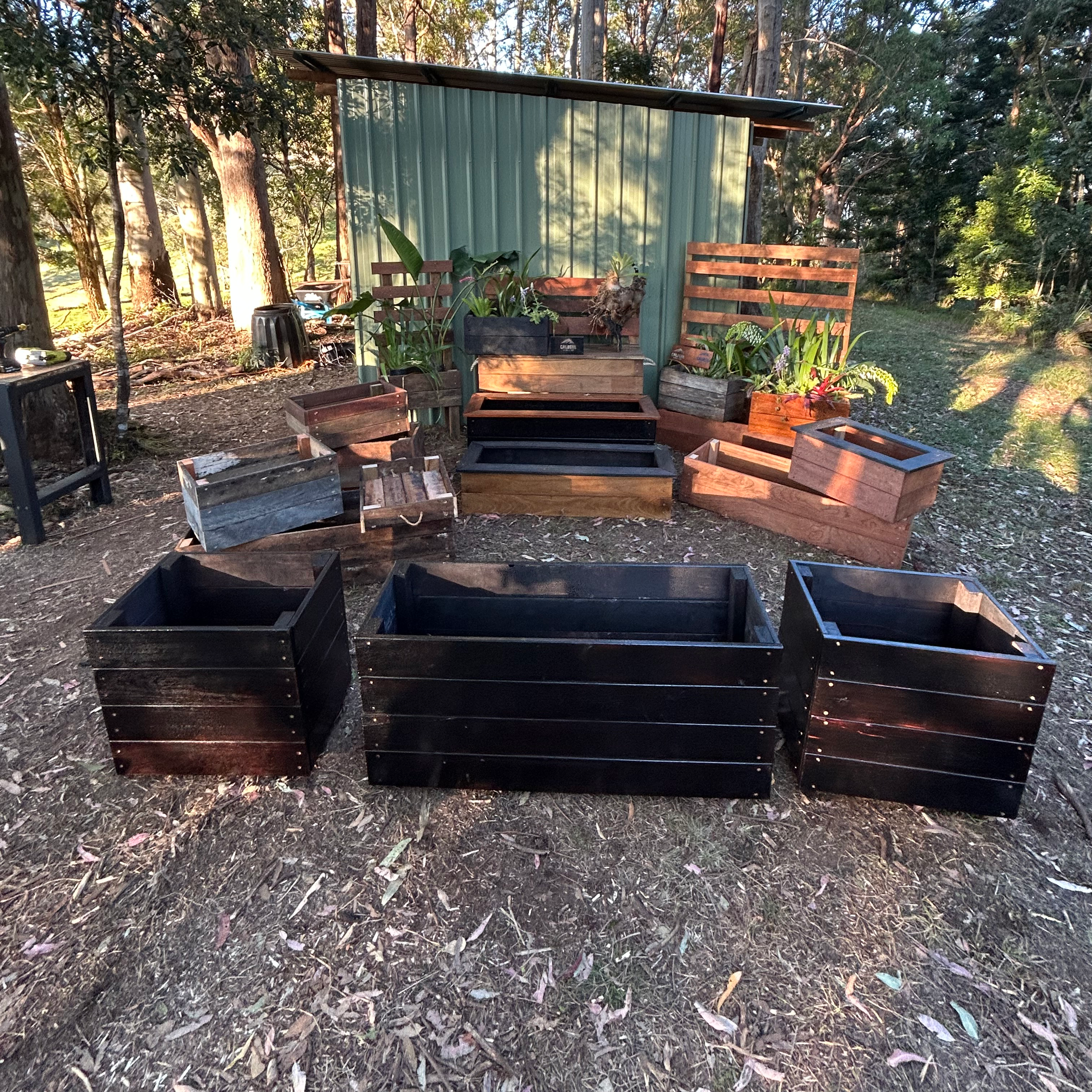 Outdoor scene with trees and a metal shed, plants in wooden containers, and empty plant pots on the ground.
