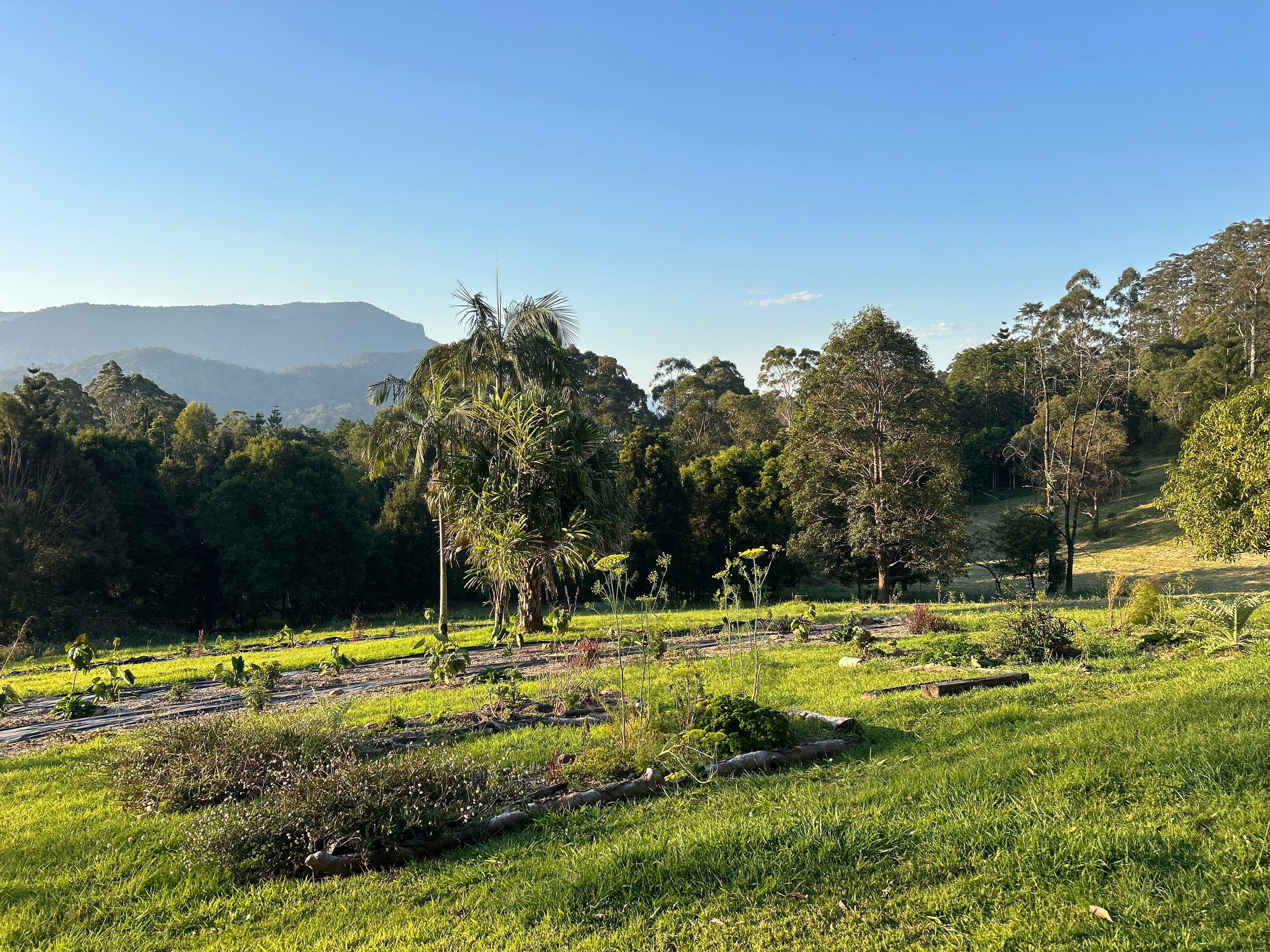 A lush green landscape with a garden in the foreground, trees and hills in the background, under a clear blue sky.