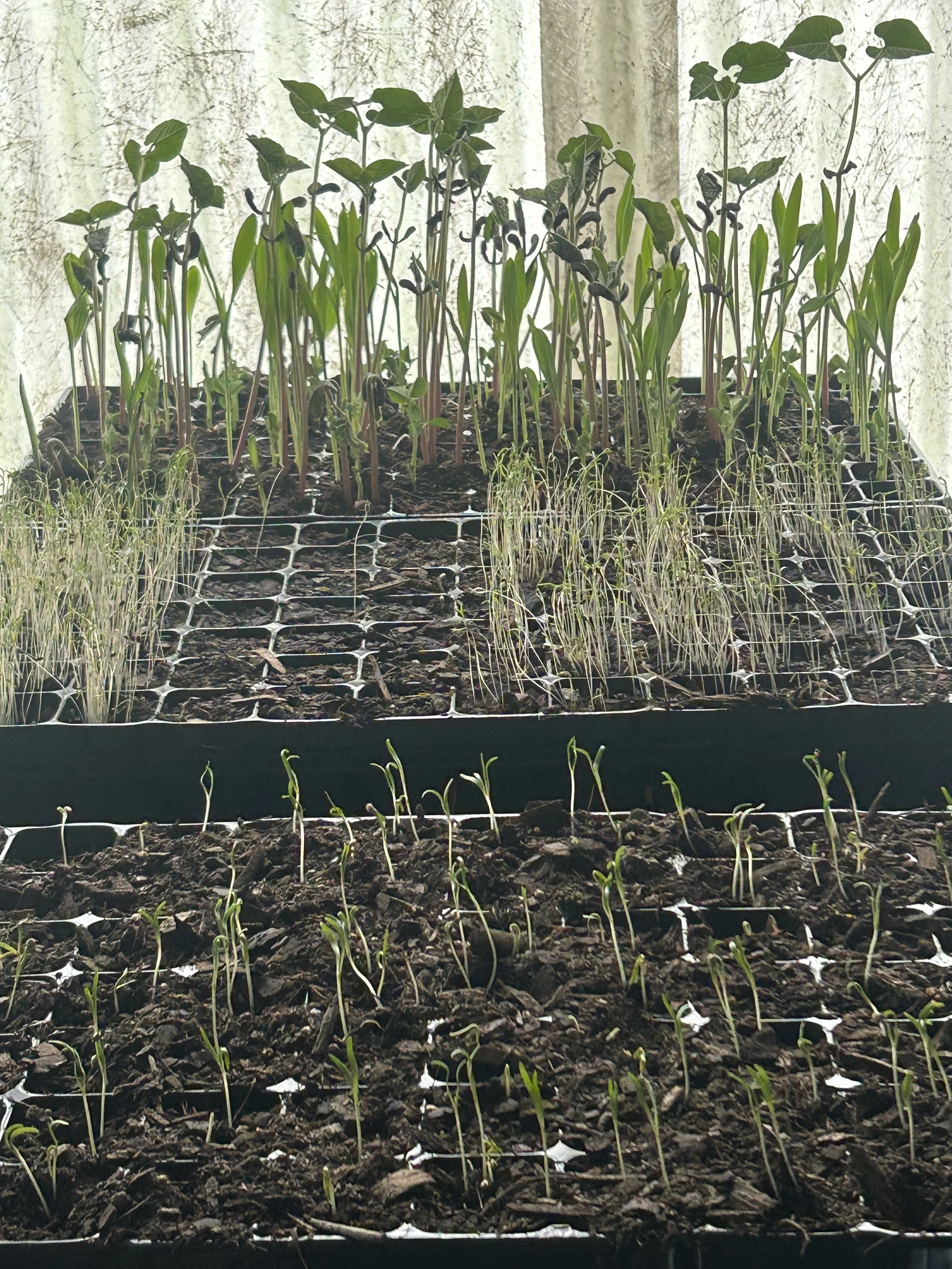 Photo 18-3-2025, 12 04 56 pm.jpg