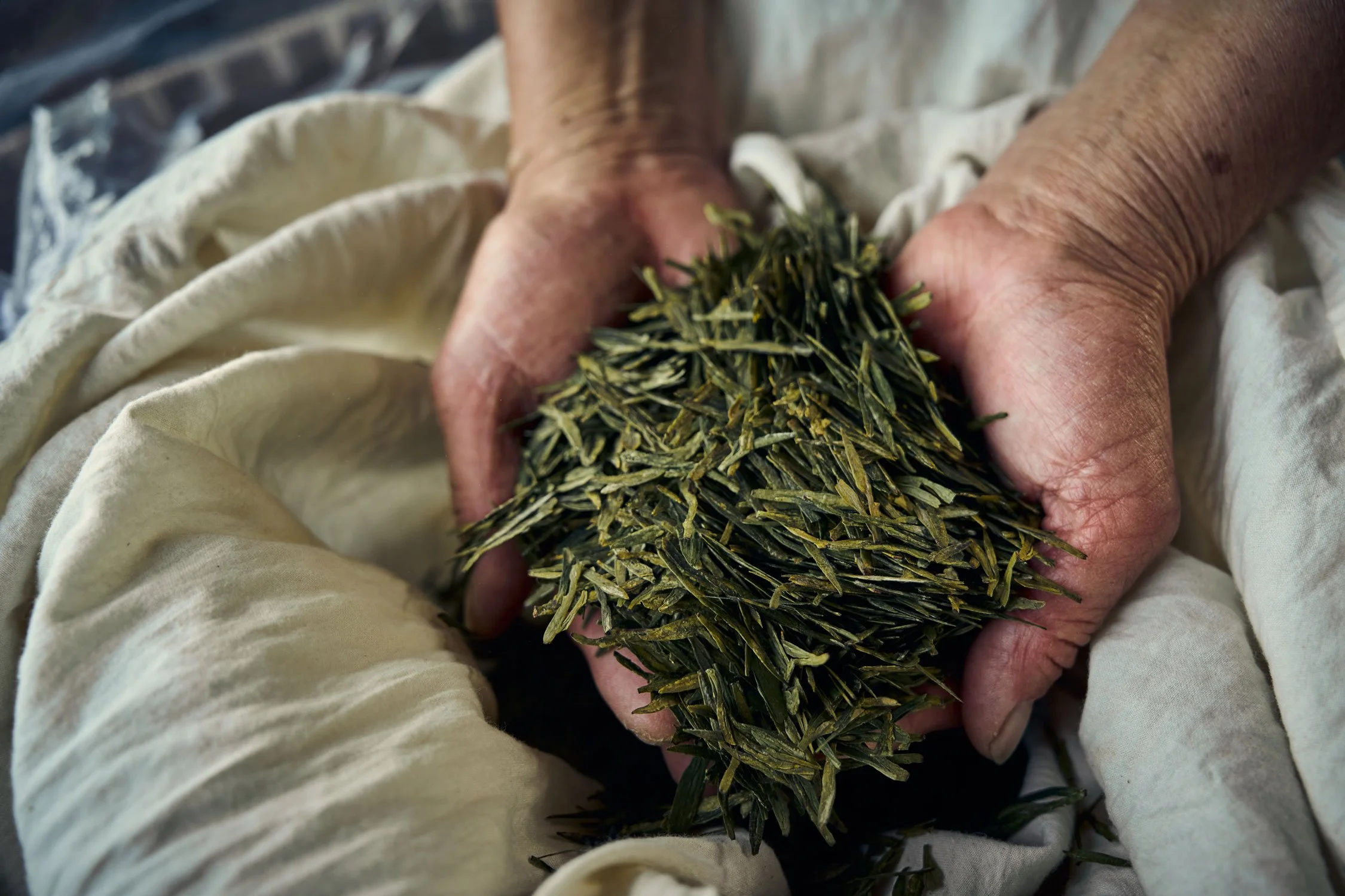  Processed Ming Qian Longjing Tea Leaves 