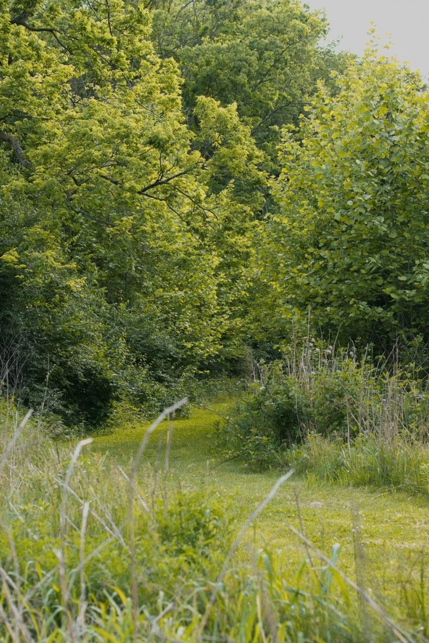 Coorie-Cottage-Farm52.jpeg