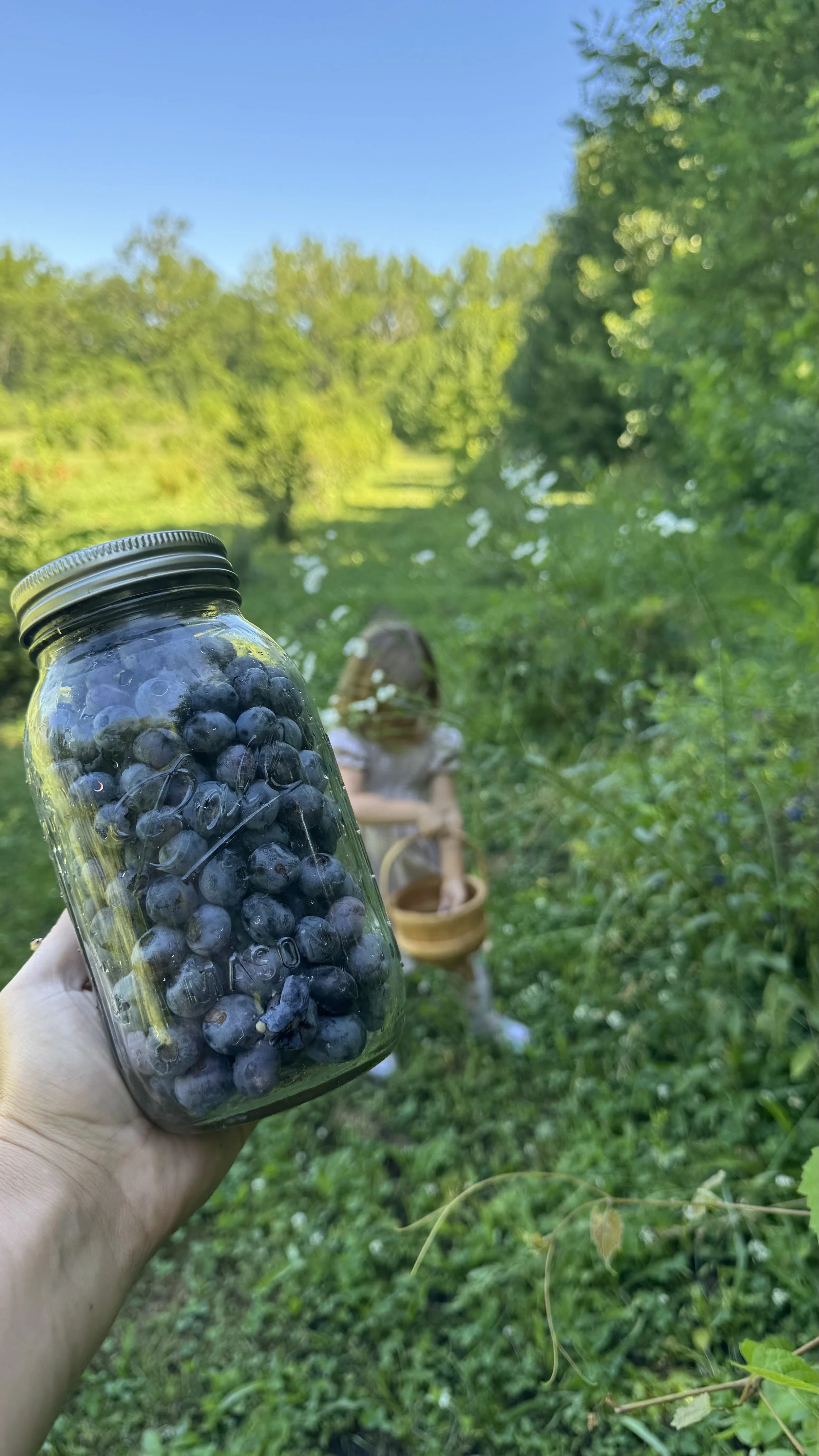 blueberries.jpg