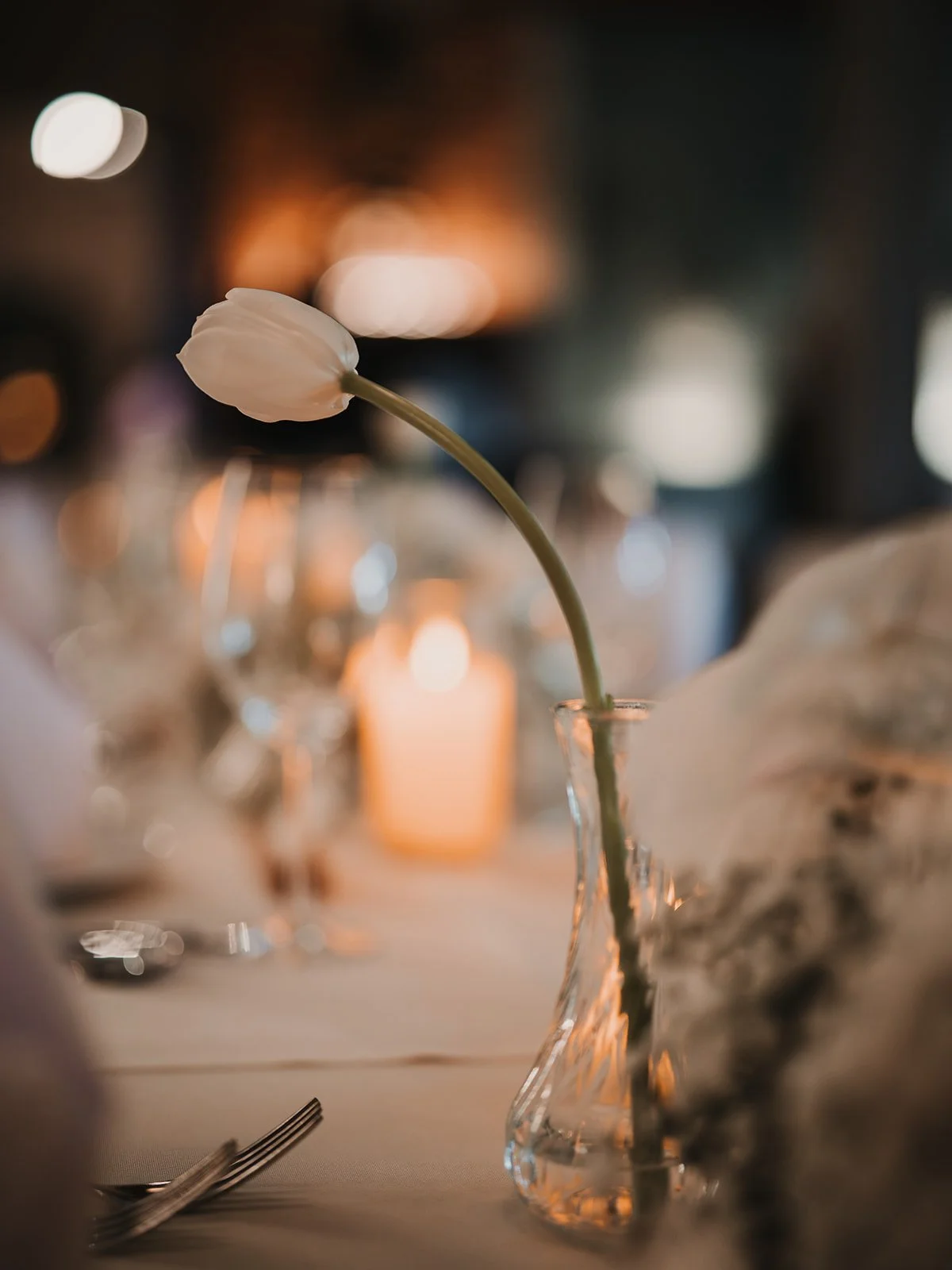 ciao-intimate-editorial-wedding-kuala-lumpur-weddings-by-qay7.jpg