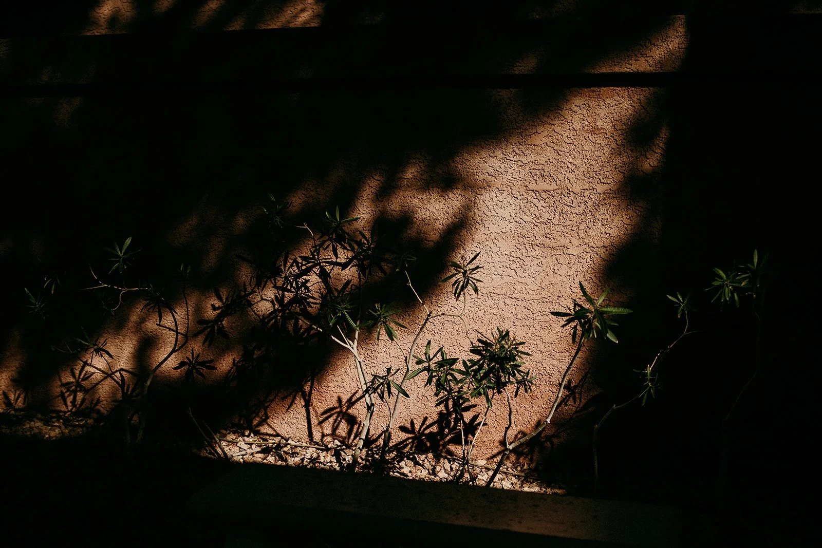 las-vegas-elopement-photography-weddings-by-qay17.jpg