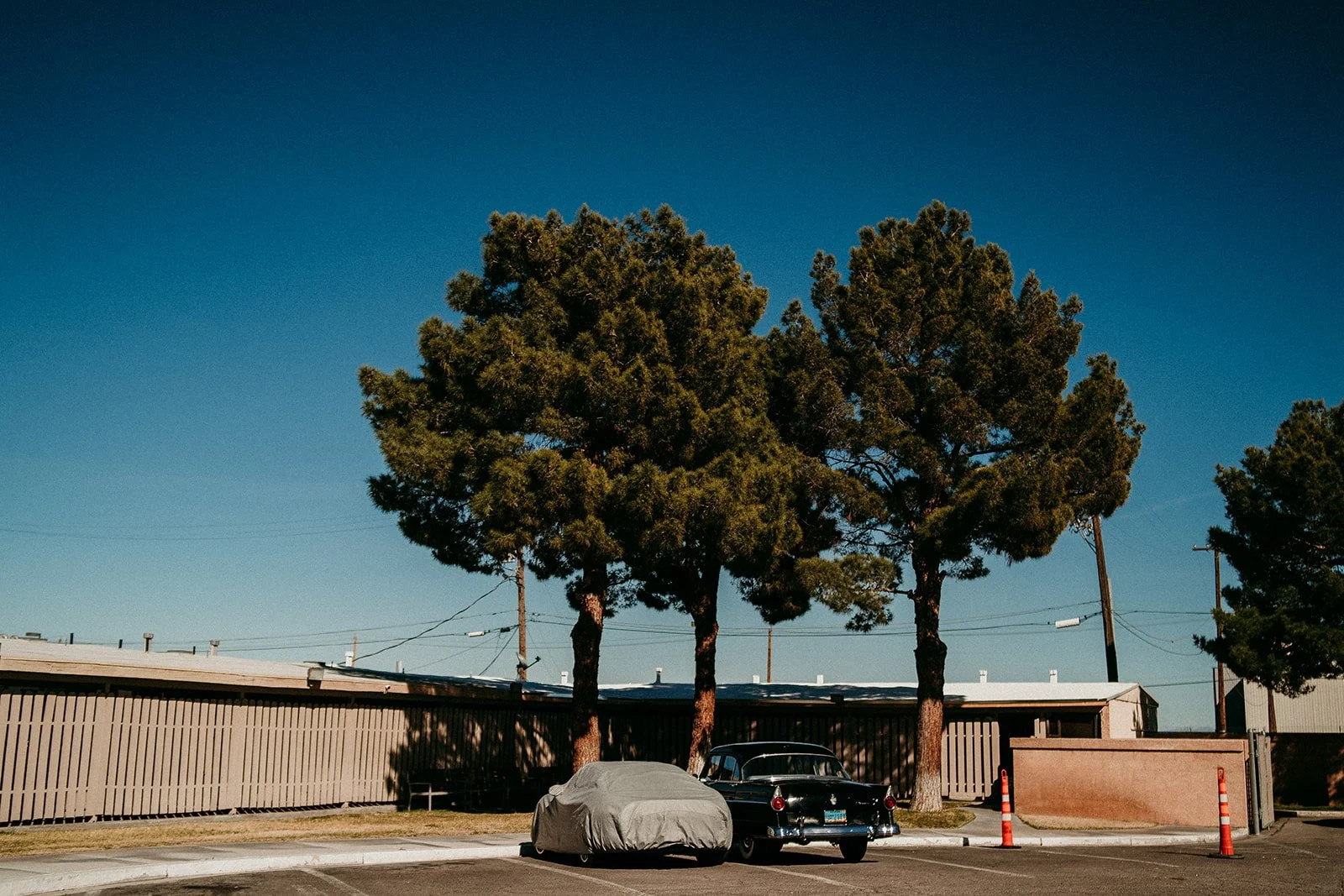 las-vegas-elopement-photography-weddings-by-qay2.jpg
