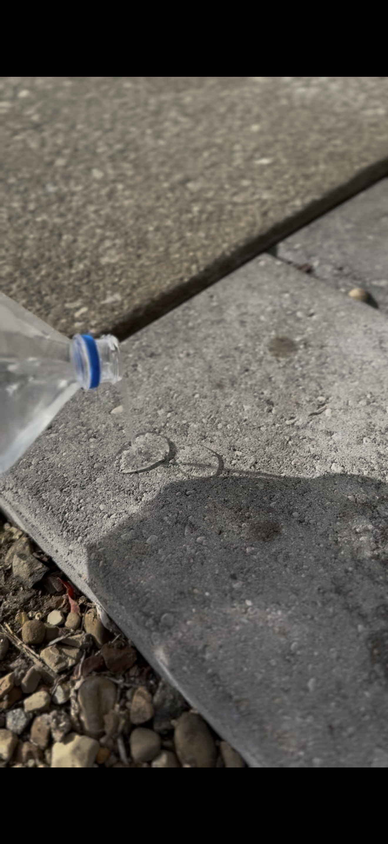 A clear plastic water bottle with a blue cap tilted on concrete pavement with a shadow cast nearby. In the background, there is a gravel area.