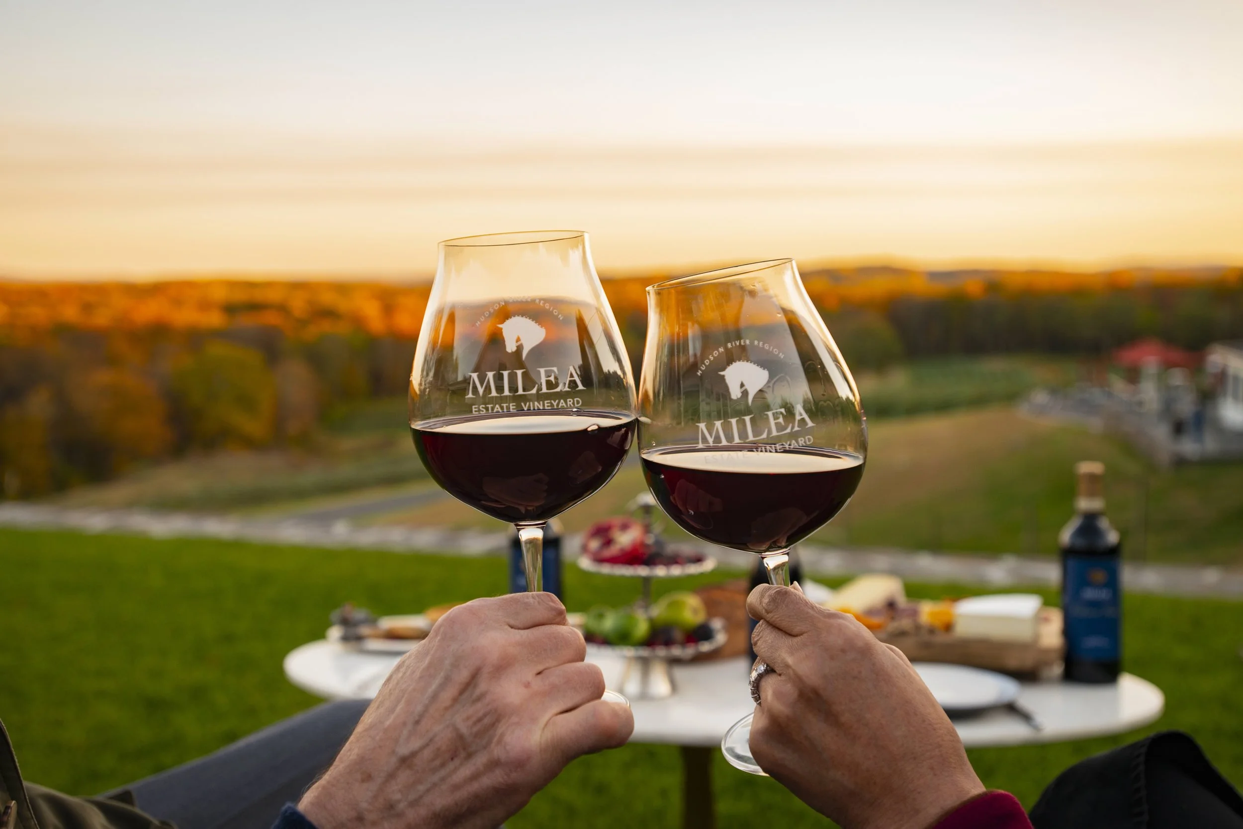 Fall Wine Club Party