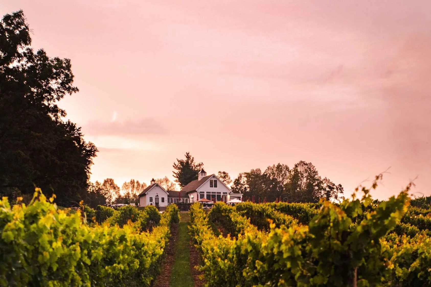 The Best Wineries Near NYC: Discover Milea Estate