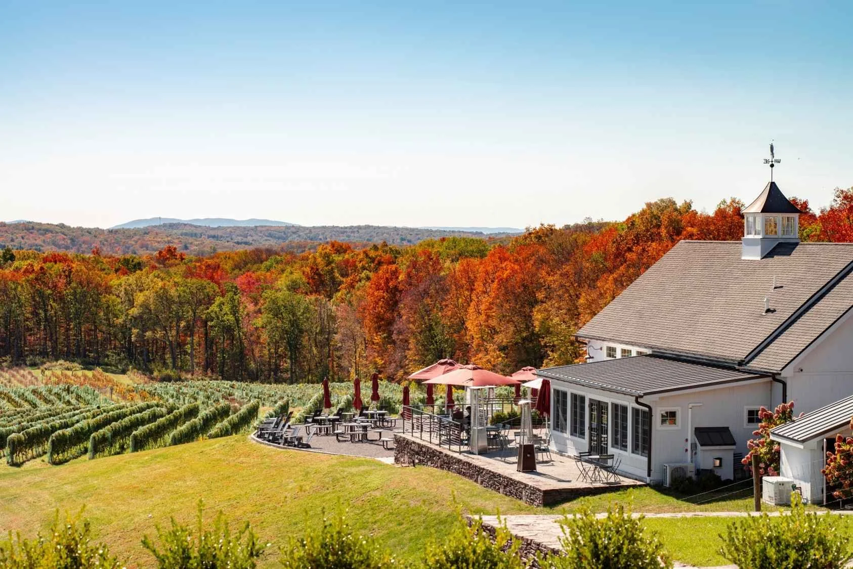 The Best Times of Year to Taste Wine in the Hudson Valley