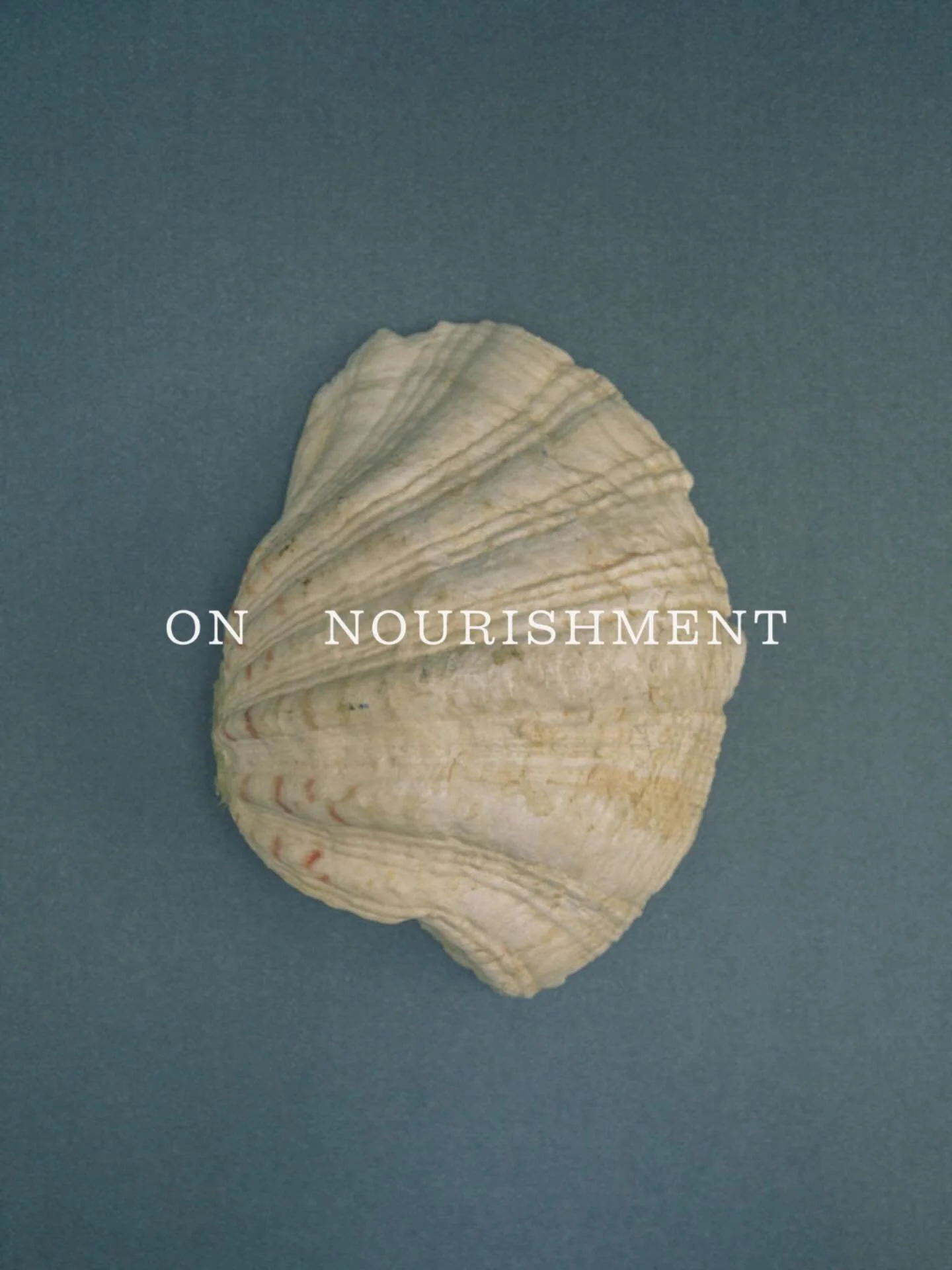 Elevated Naturopathy and Wellbeing space for the intentional, modern woman. 

Coming soon.