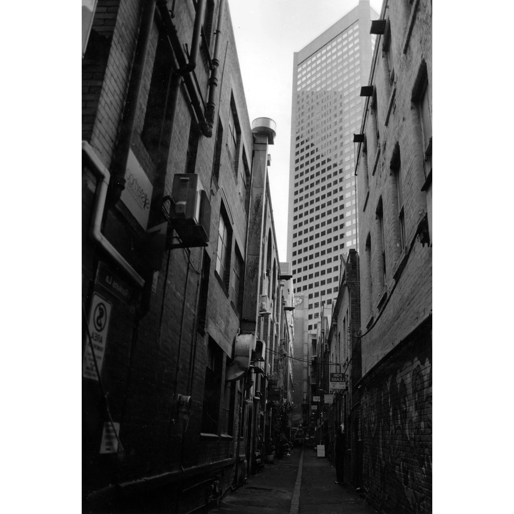 08 Robert Adams s.jpg