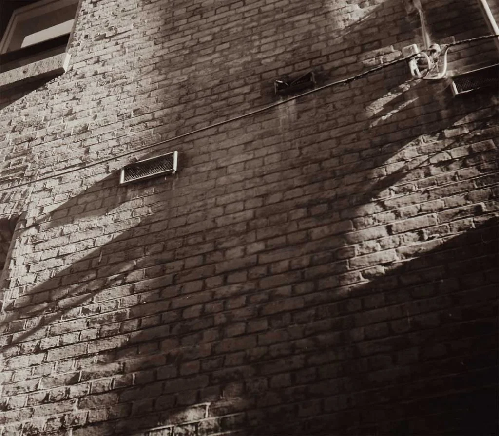 Afternoon light in Warburton Alley