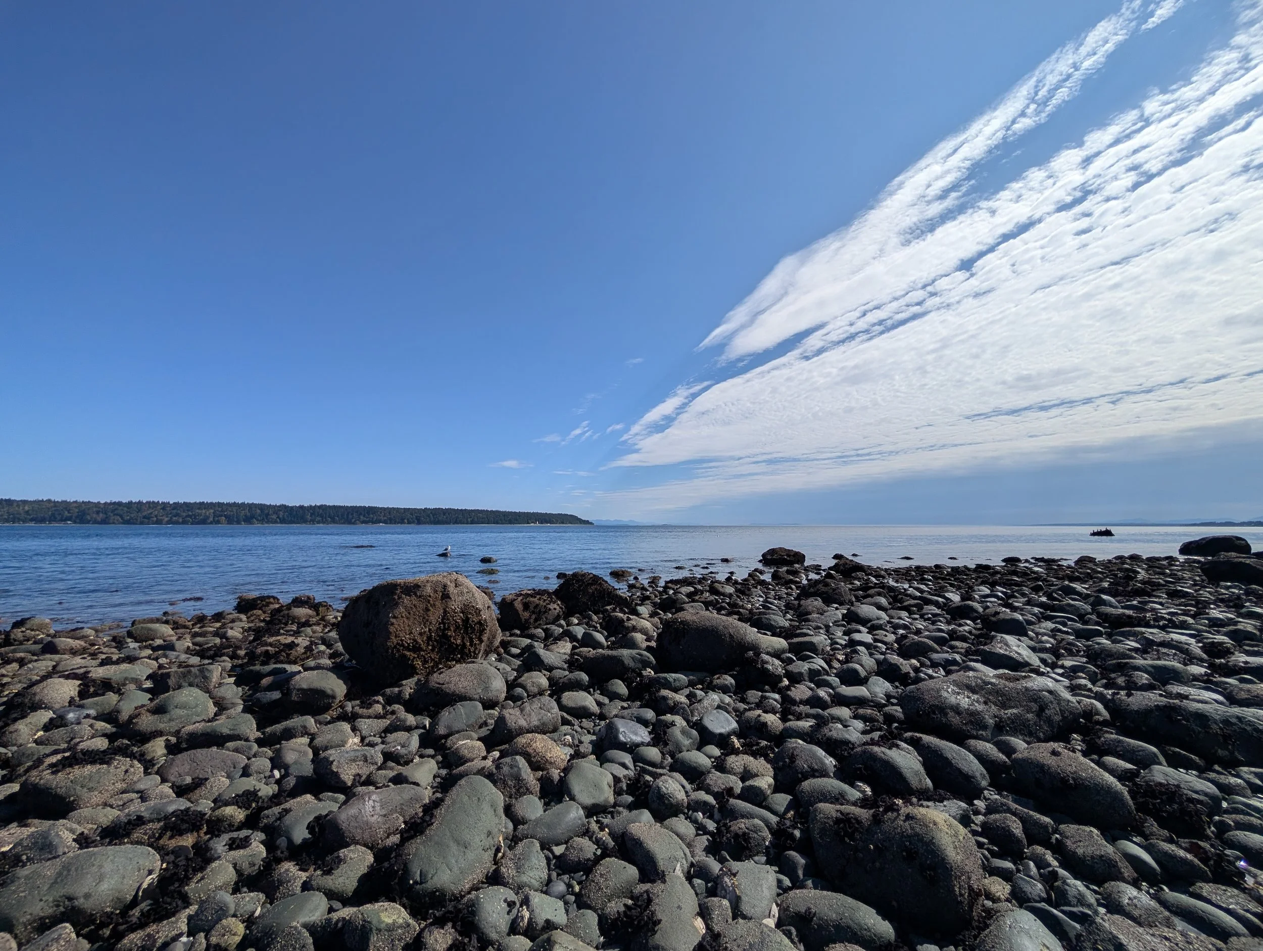 Rocky British Columbia shoreline beneath a blue sky, representing calm, safety, and healing during trauma therapy.