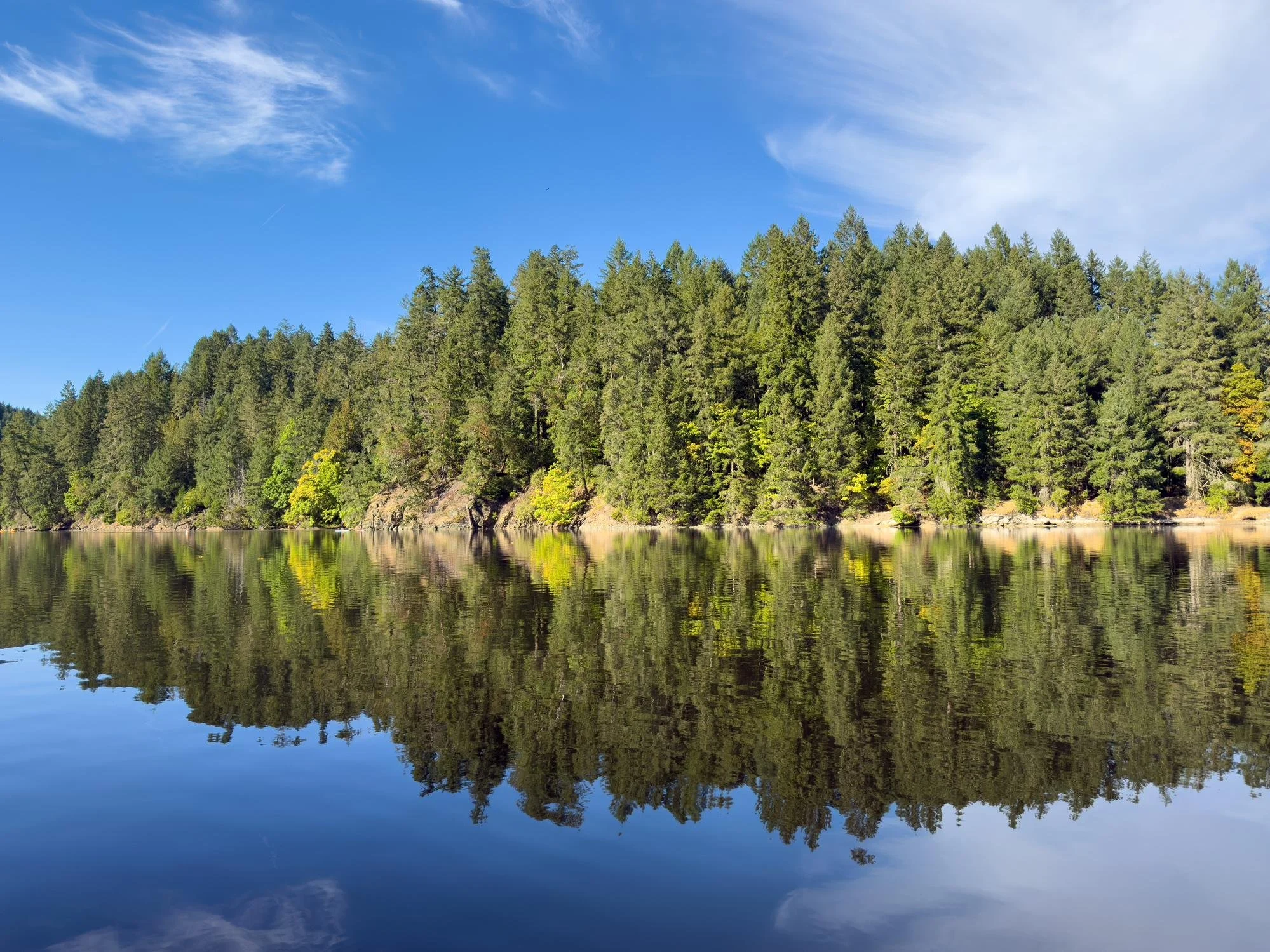 calming, warm, and inviting place to reconnect with trauma wounds in a place that feels hopeful and safe