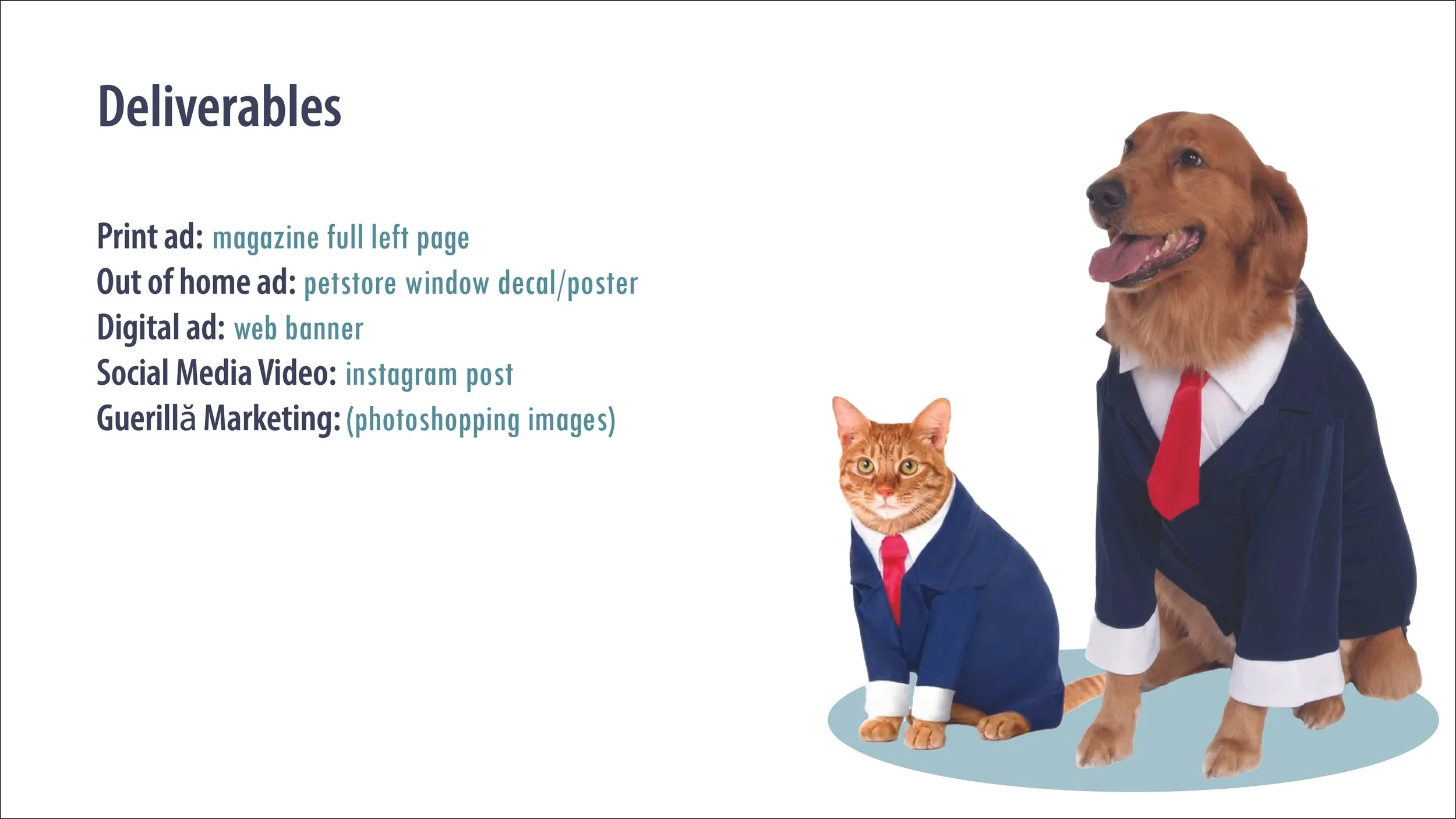 Pet Costume Center Ad campaign presentation (1)-04.jpg