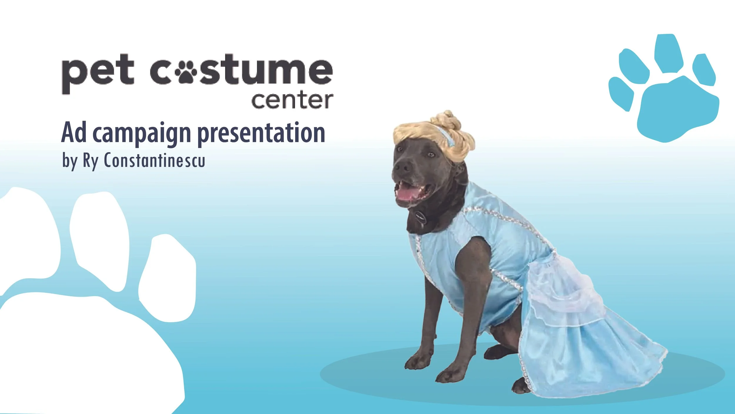 Pet Costume Center Ad campaign presentation (1)-01.jpg