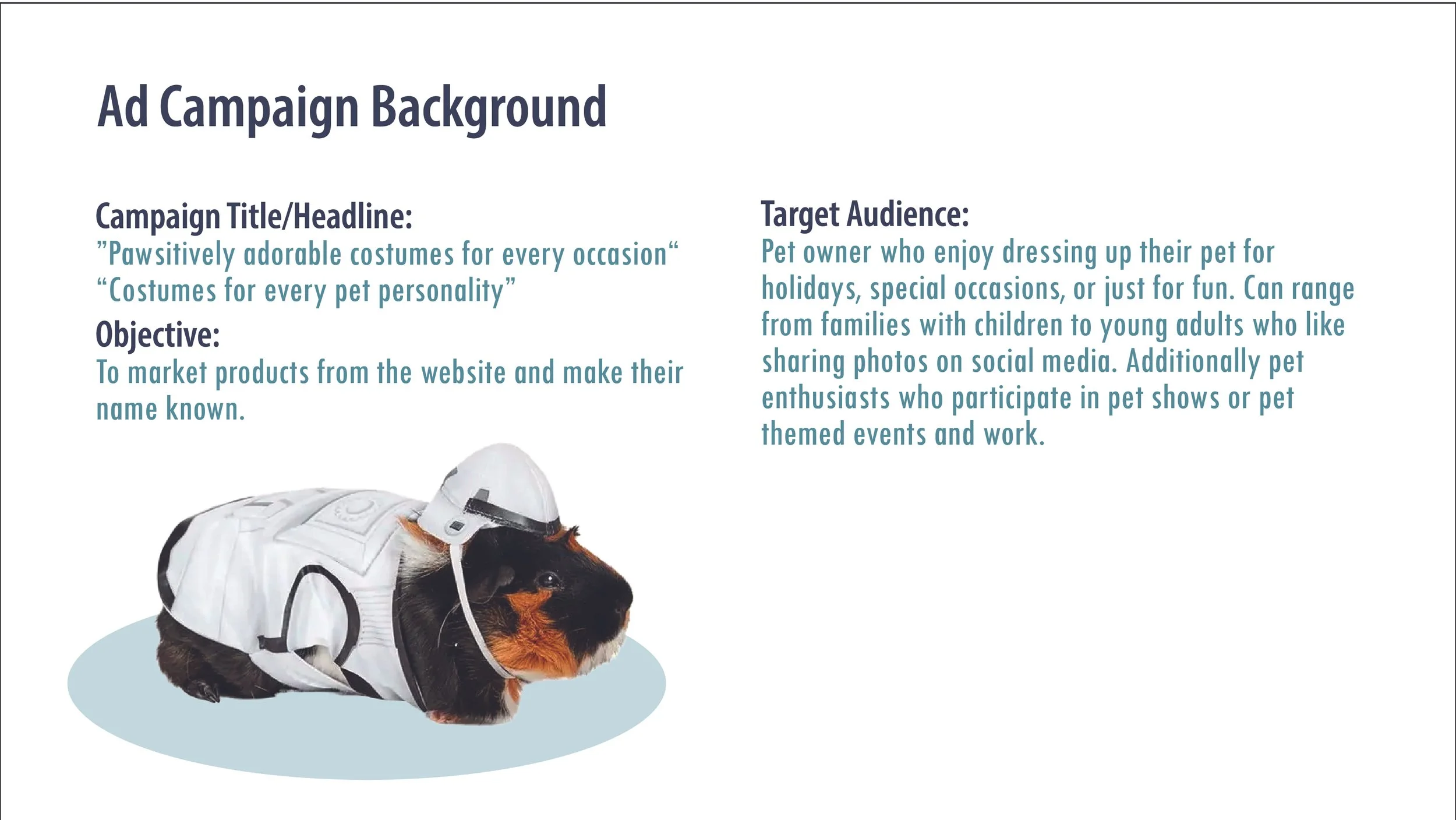 Pet Costume Center Ad campaign presentation (1)-03.jpg