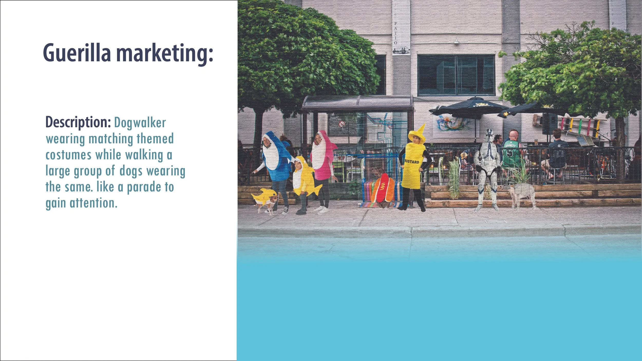 Pet Costume Center Ad campaign presentation (1)-10.jpg