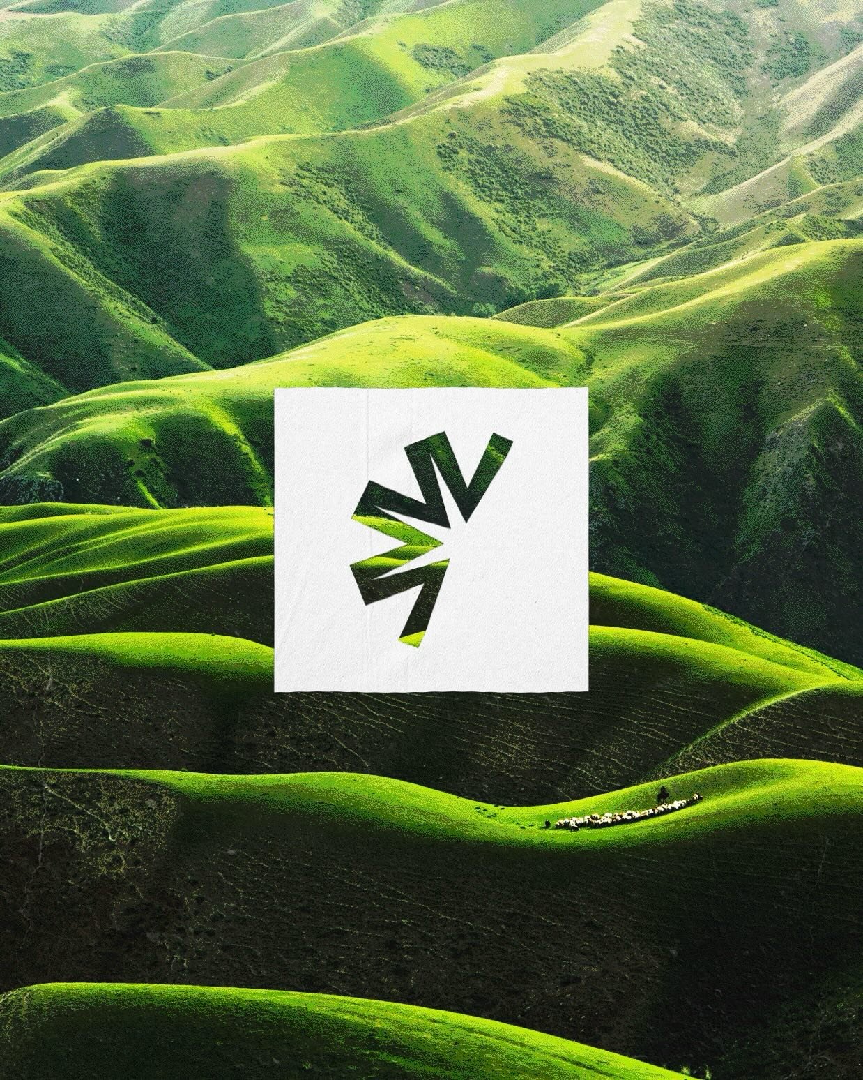 A couple of logos for ArcGen Pro Tech 🐸

This is a startup that innovates sustainable control solutions for vectors (insects that transmit diseases) 🦟 and pests of agriculture. 🫐🍇 🌾

The mark is an ode to the Arcturus star (the &ldquo;Arc&rdquo;