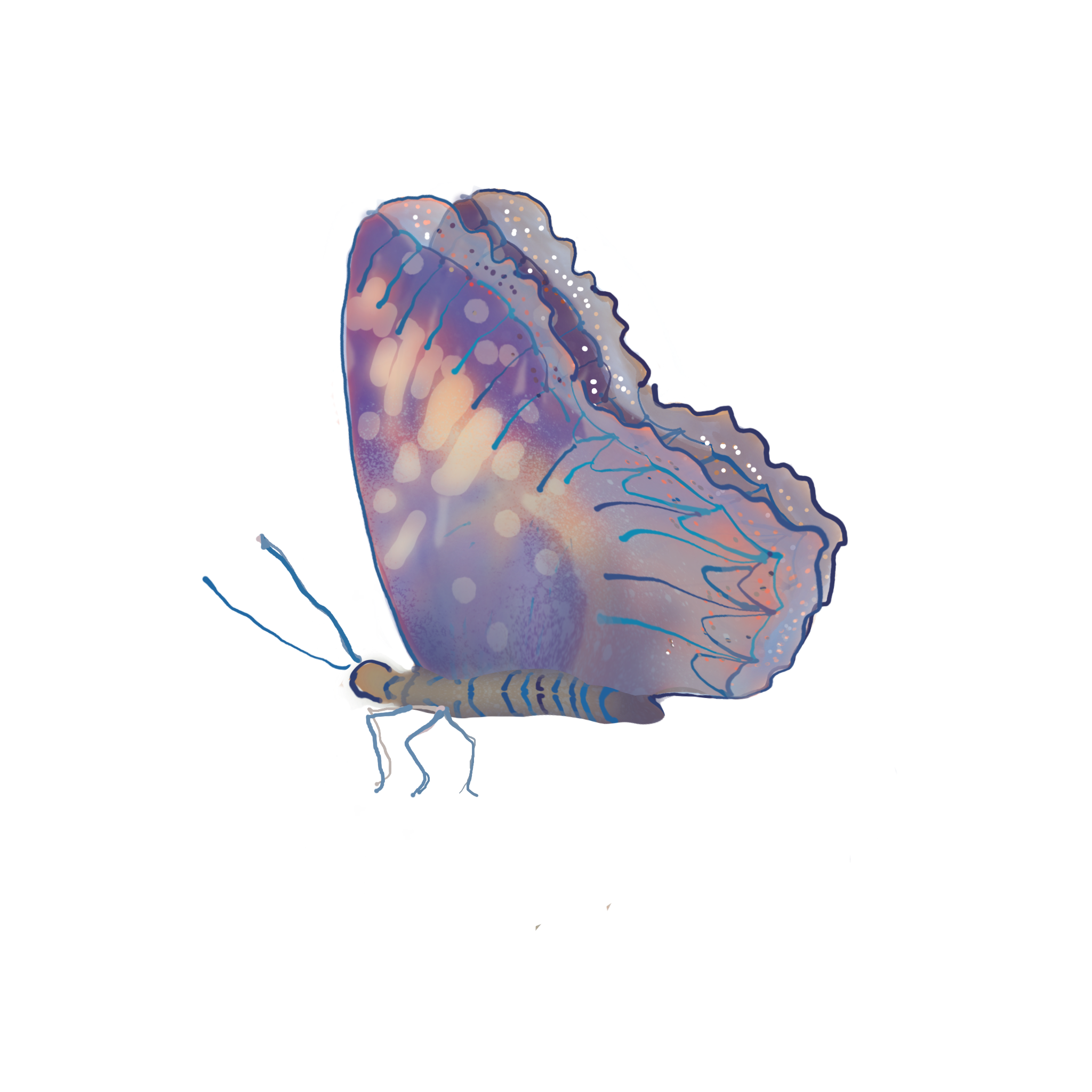 Diffuse_Butterflies copy.png