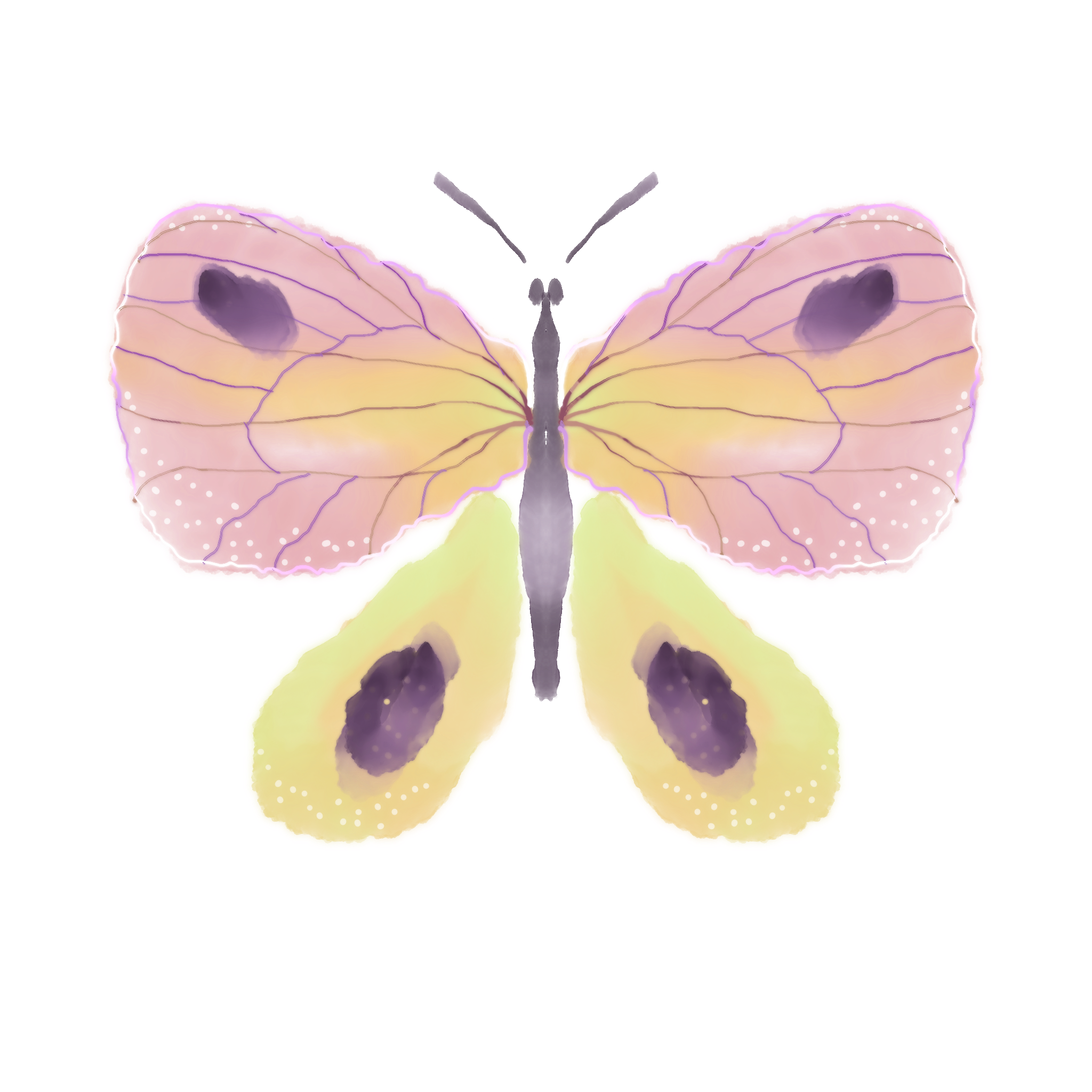 Pastel Butterflies Layered Collection
