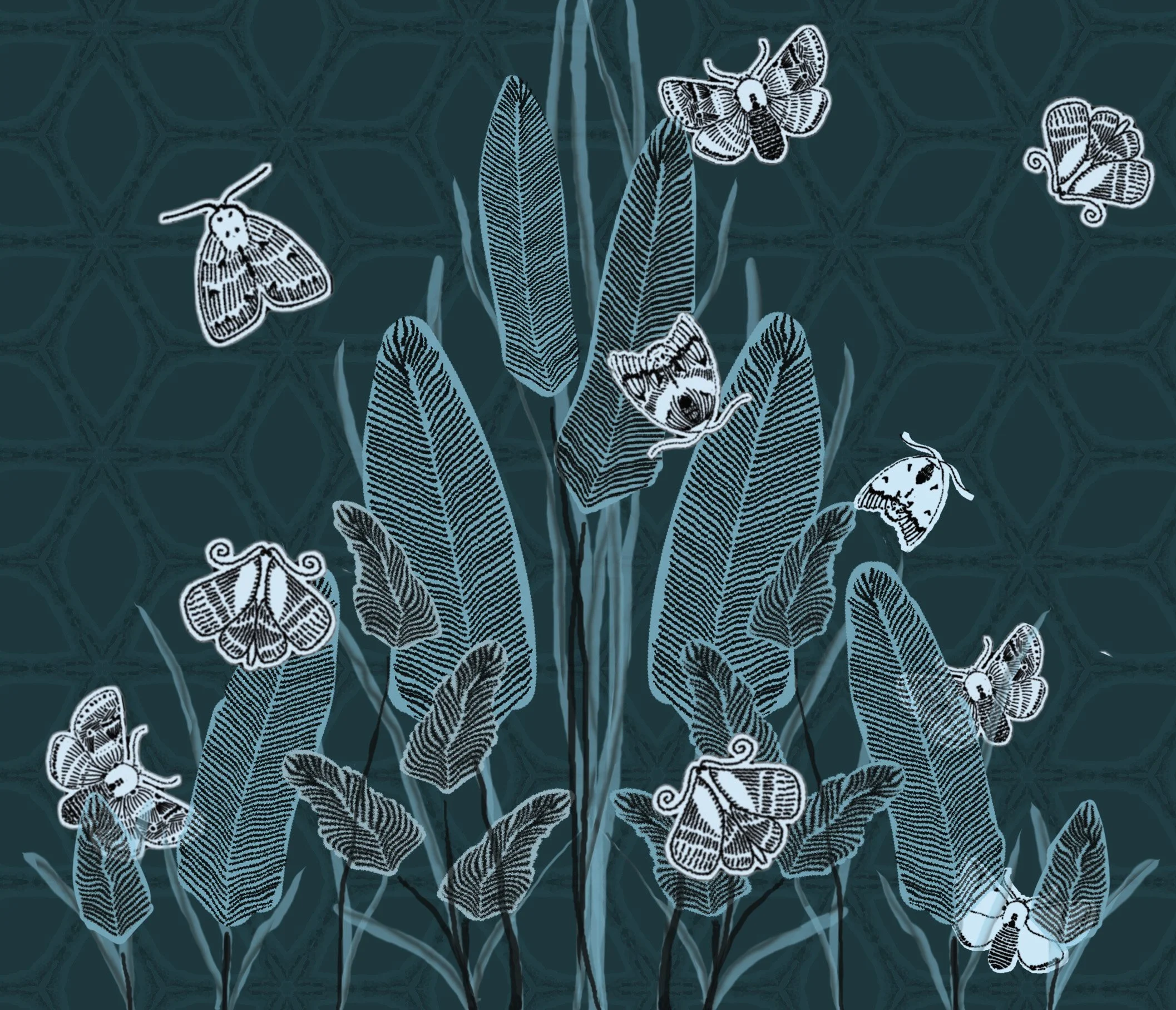 Evening Moths 1