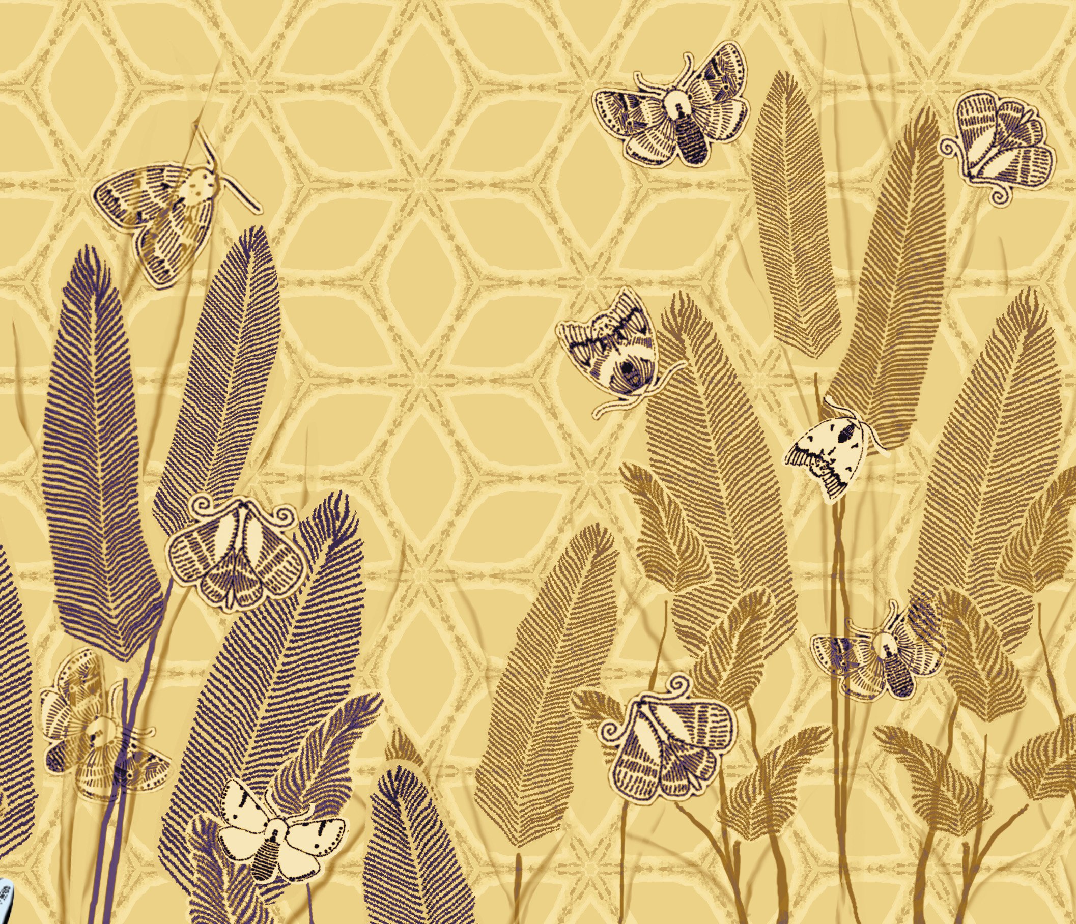 Evening Moths 2 