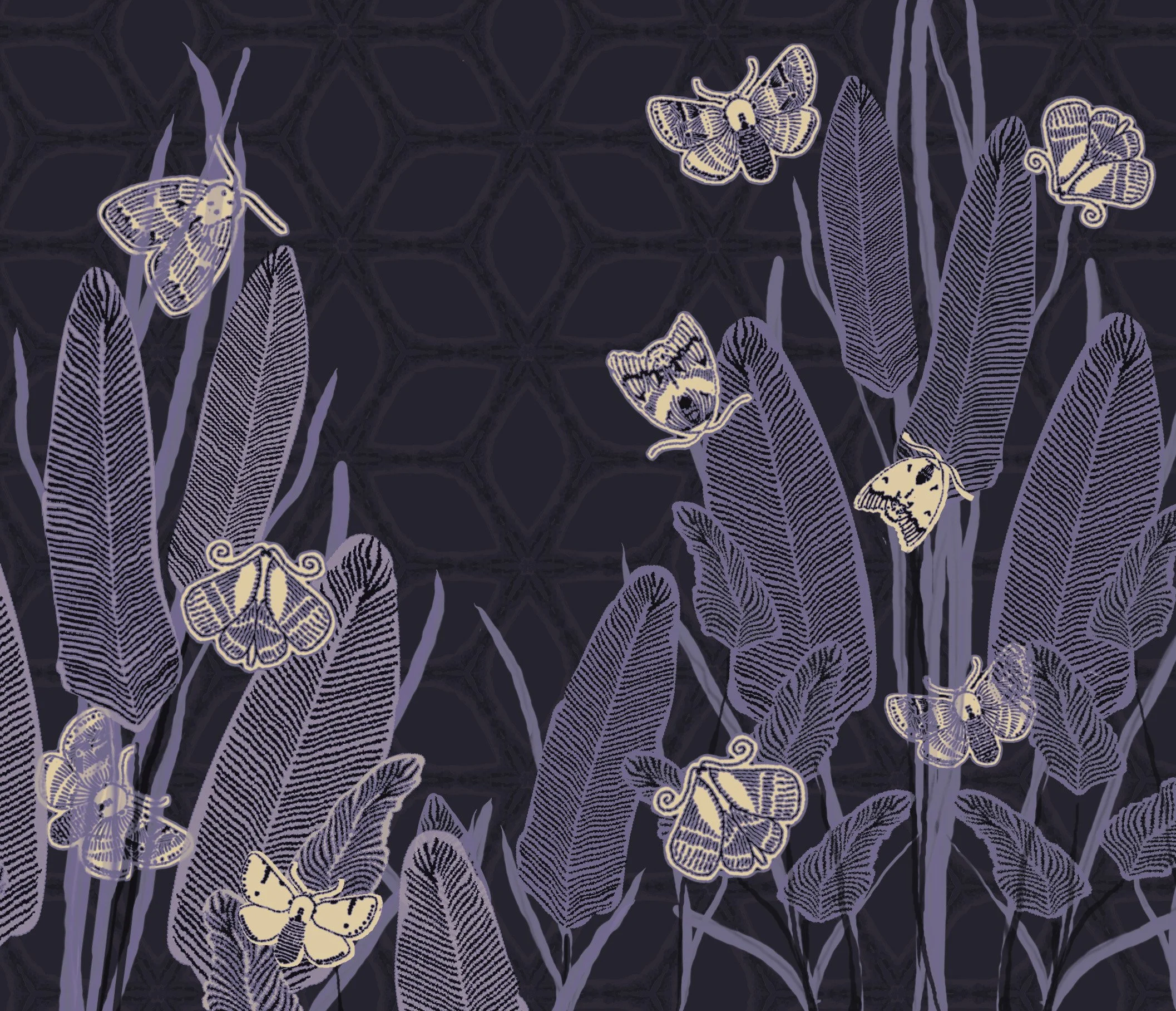 Evening Moths 2 