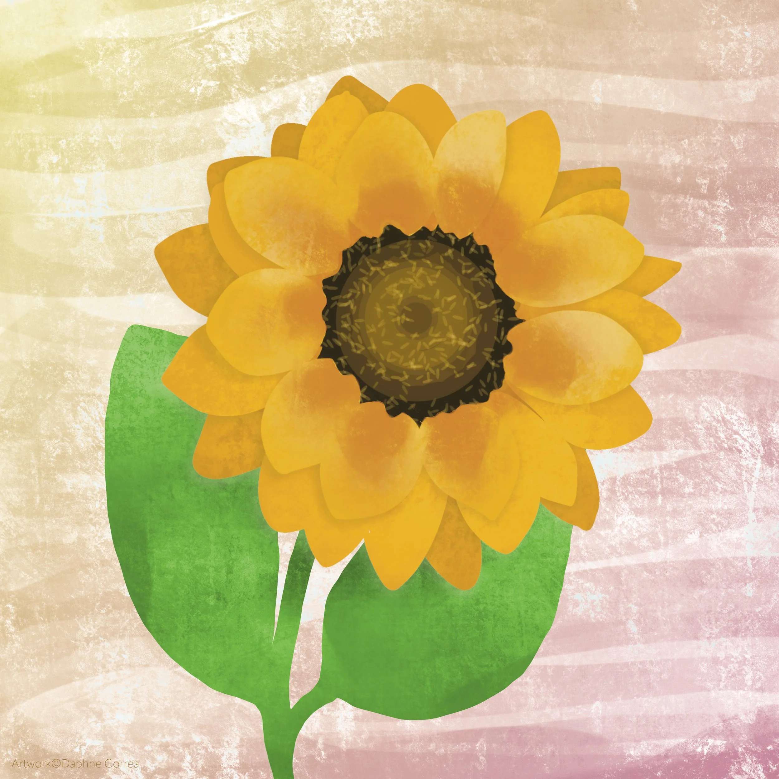 Sunflowers.jpg
