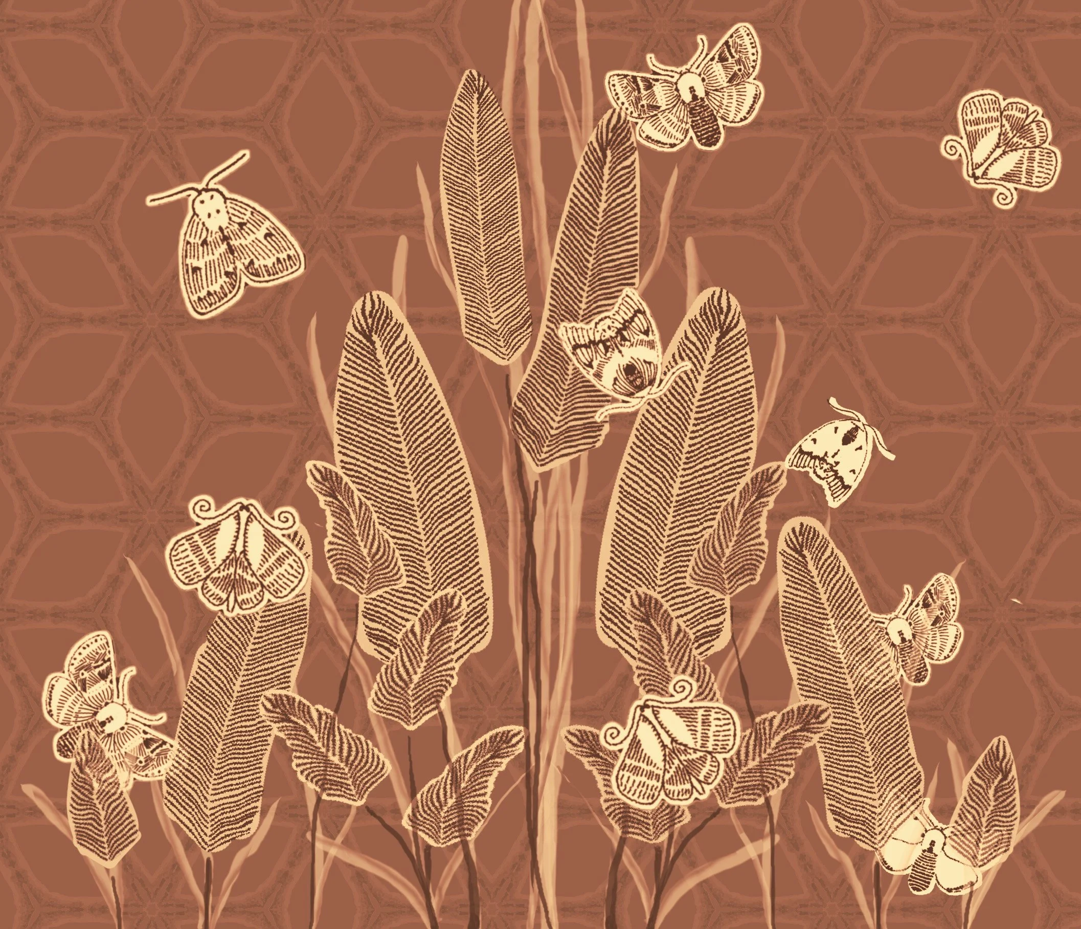 Evening Moths 1 