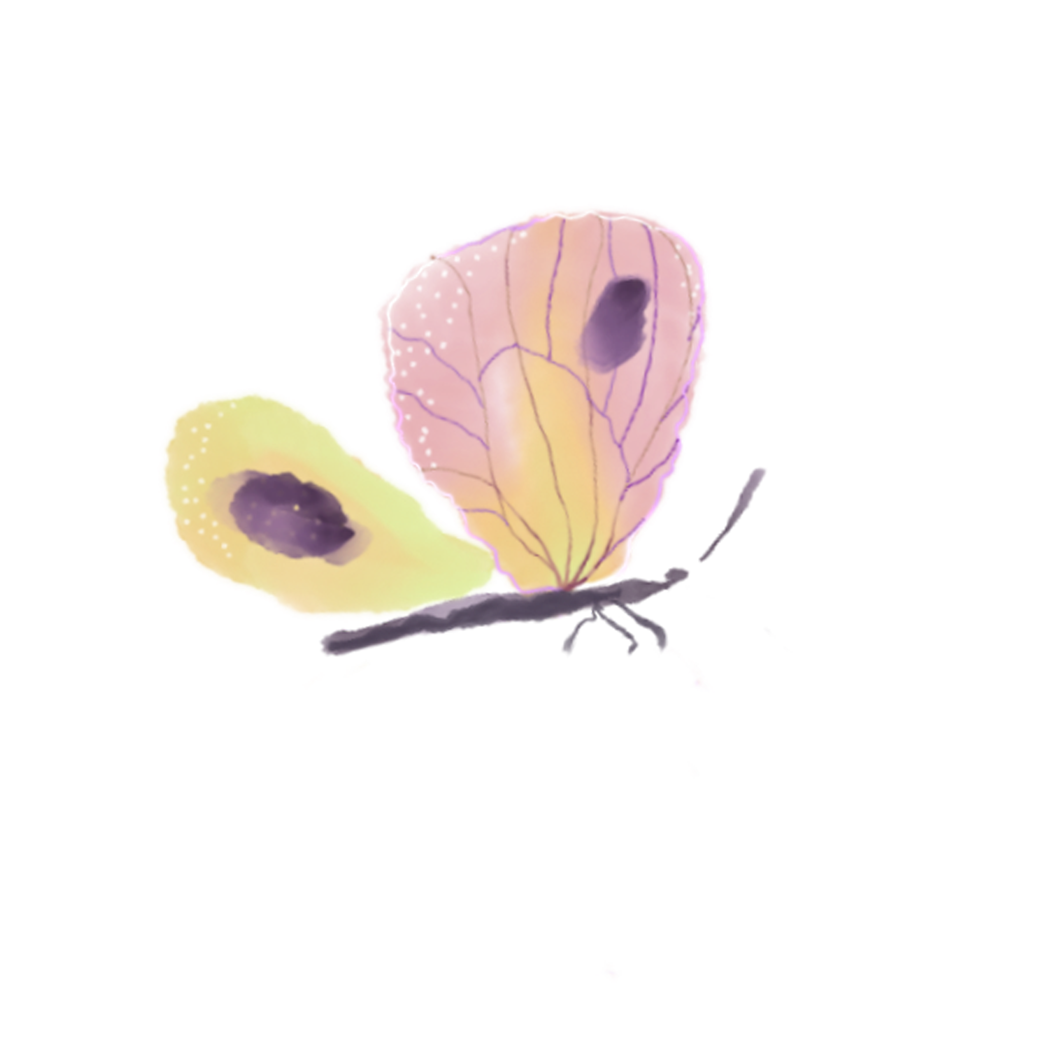 Diffuse_Butterflies.png