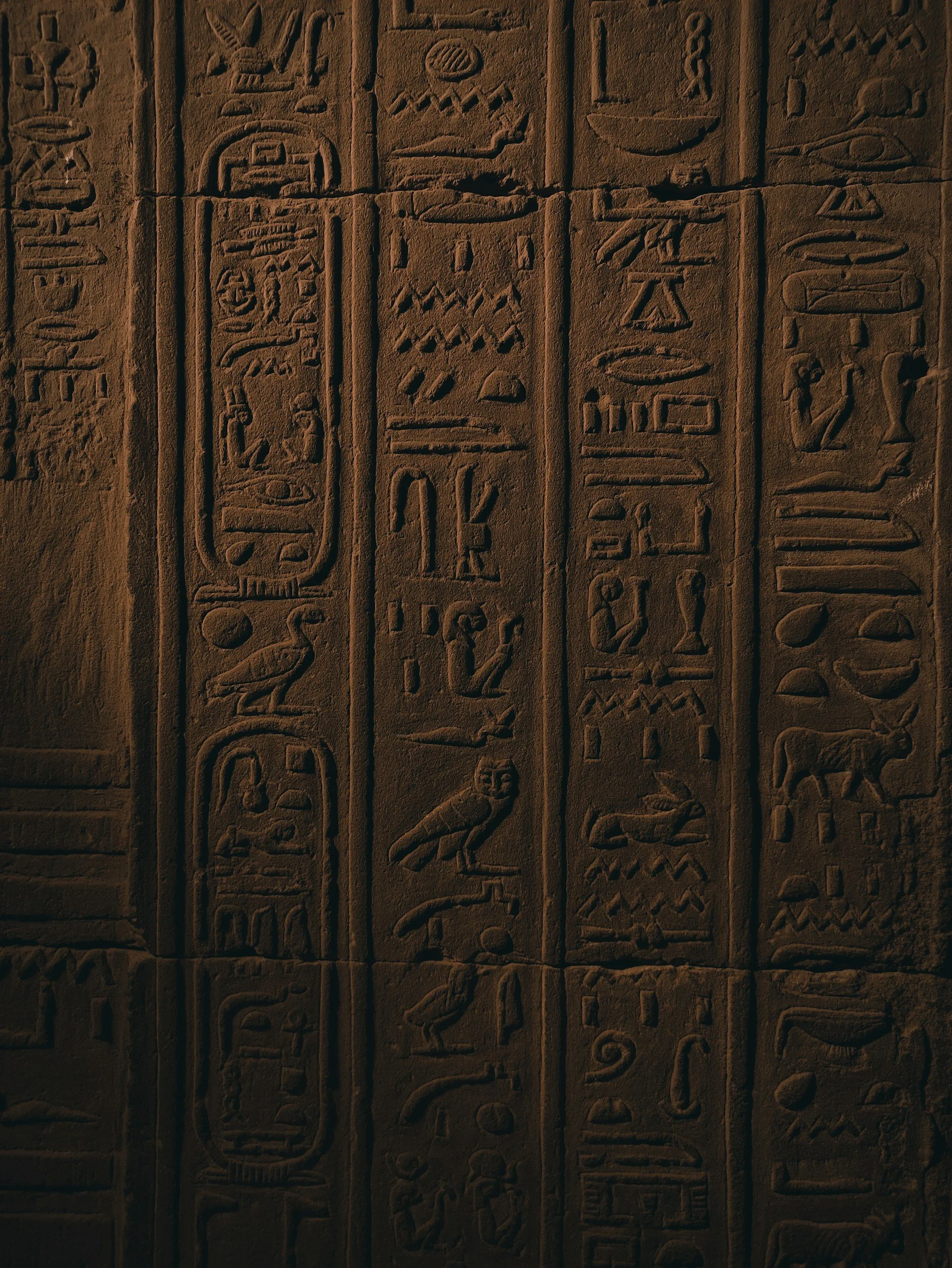 Ancient Egyptian hieroglyphic carvings on a stone wall.