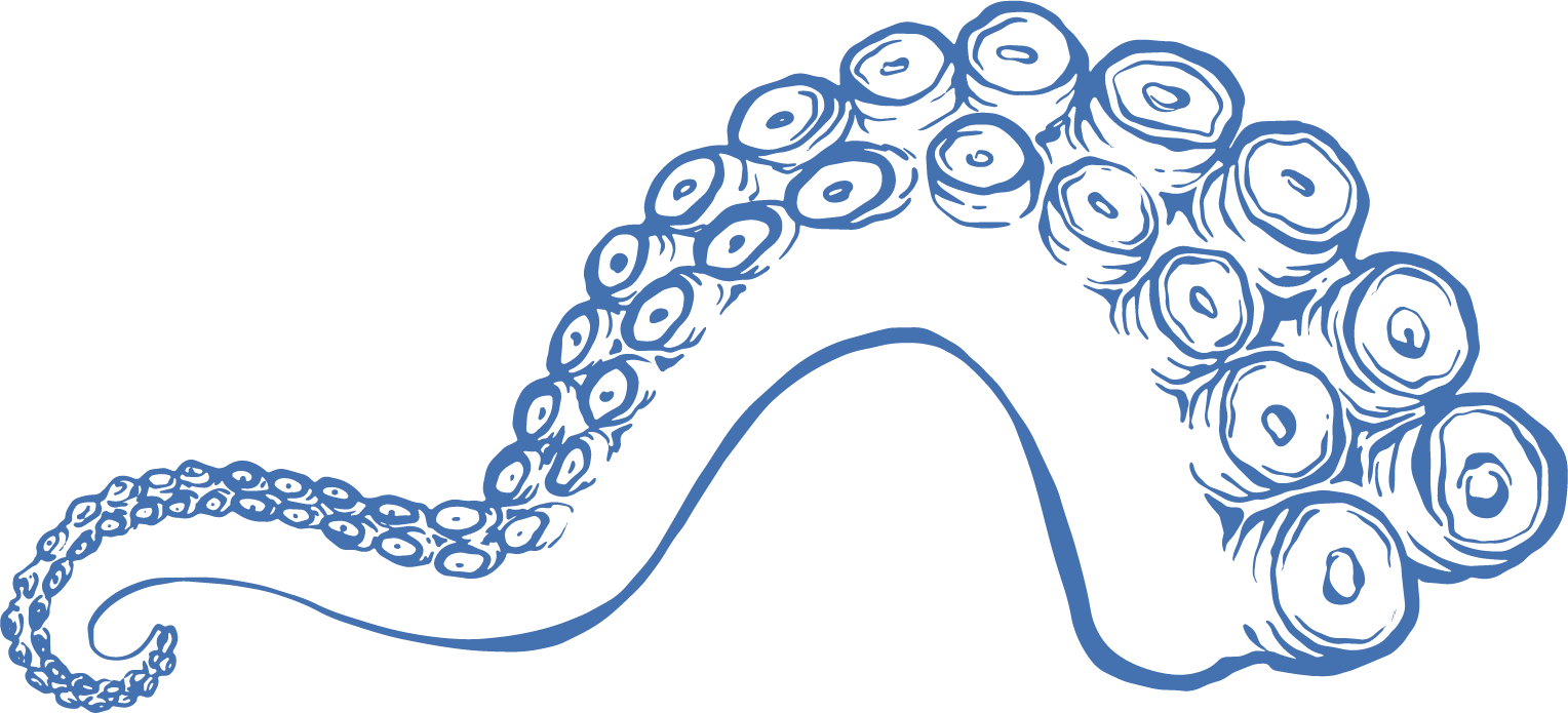 A stylized drawing of an octopus using blue lines on a black background.