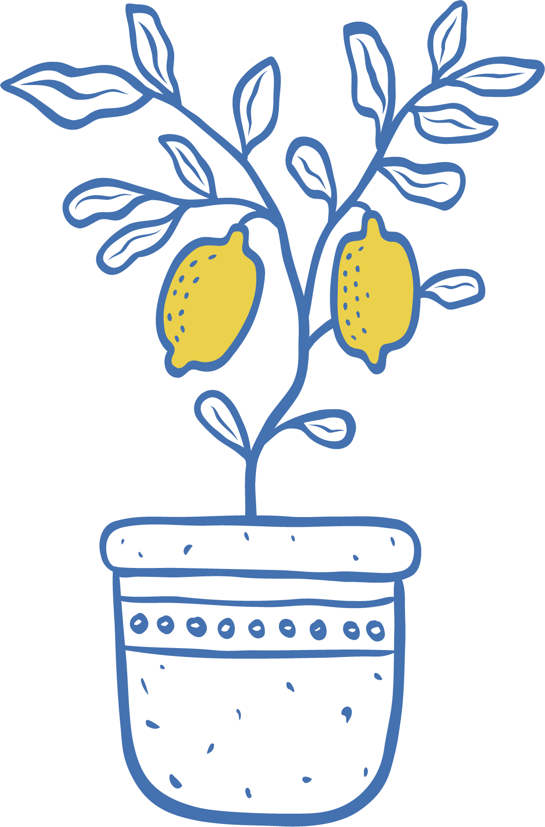 A simple line drawing of a lemon plant in a pot, with two lemons hanging from the branches and several leaves.