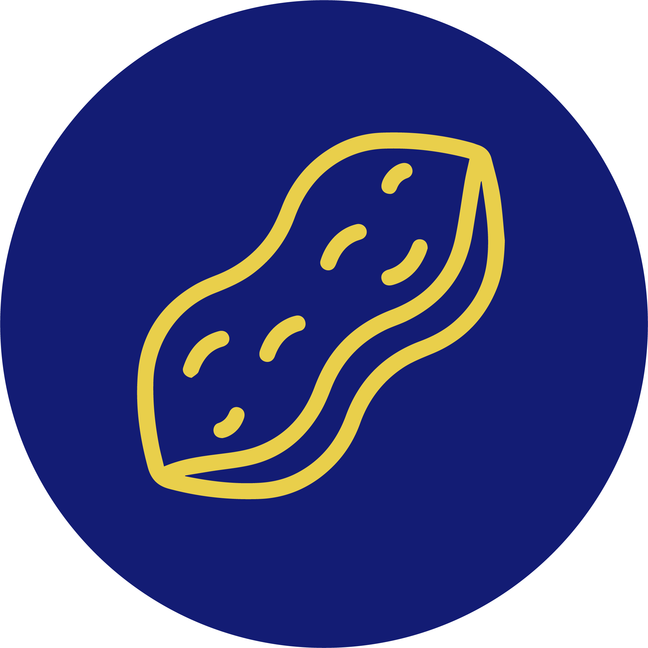 Close-up of the peanut alergy icon with a blue circle background and yellow emblem.