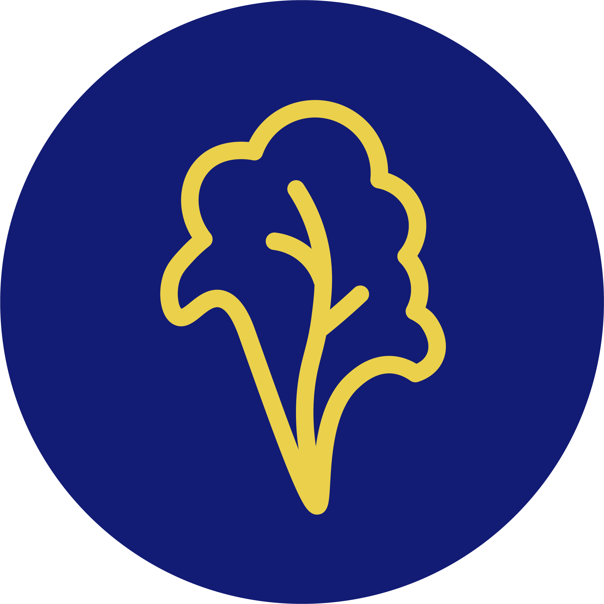 A stylized logo with a yellow outline of a brain inside a blue circle with a black background.