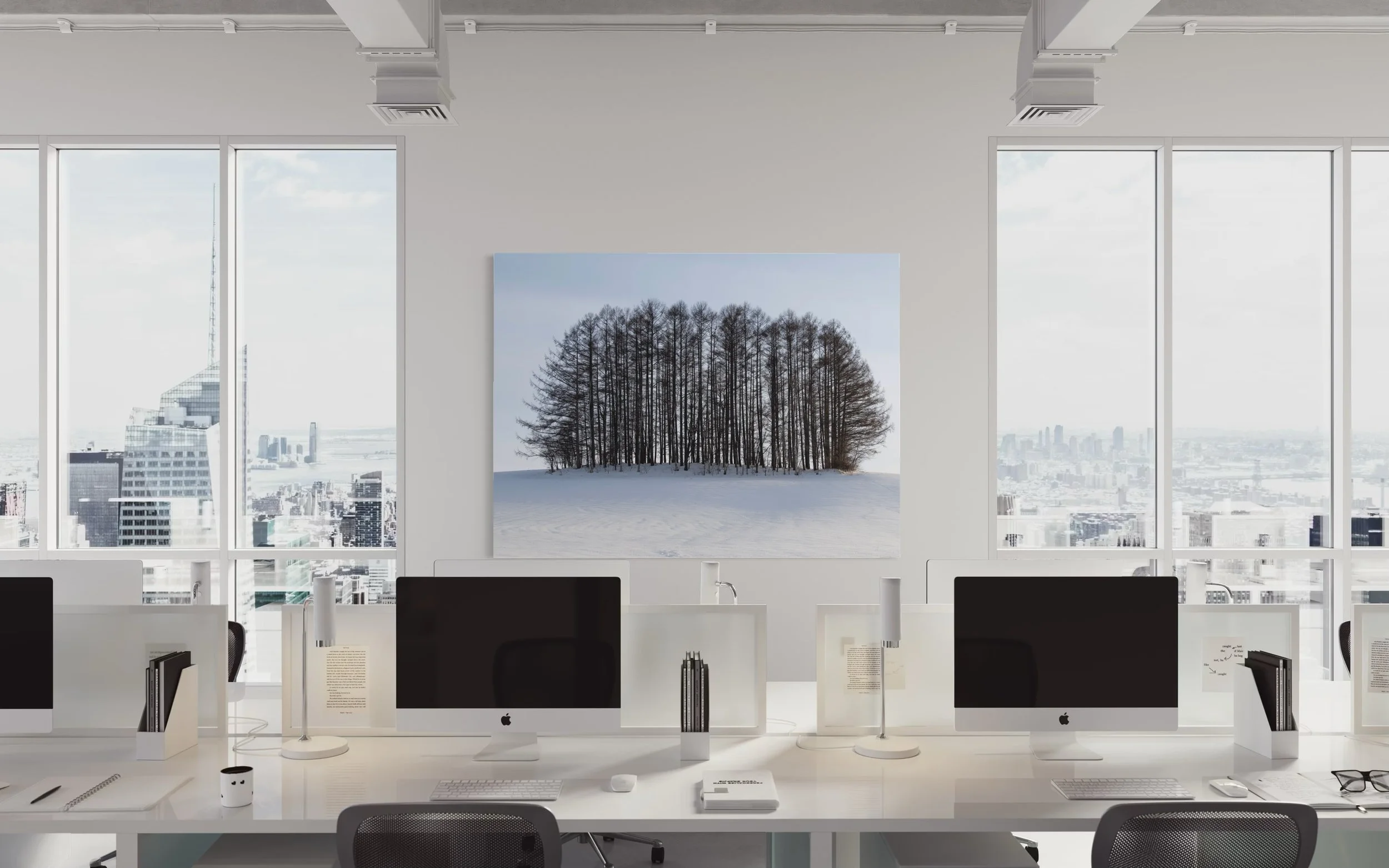 Biei Larch Grove bright office.jpg