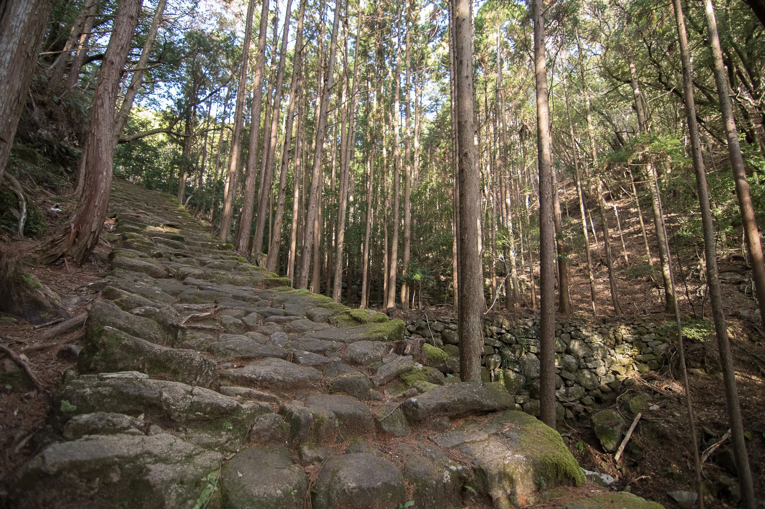 Sacred Japan sequence Final Export-2696.jpg